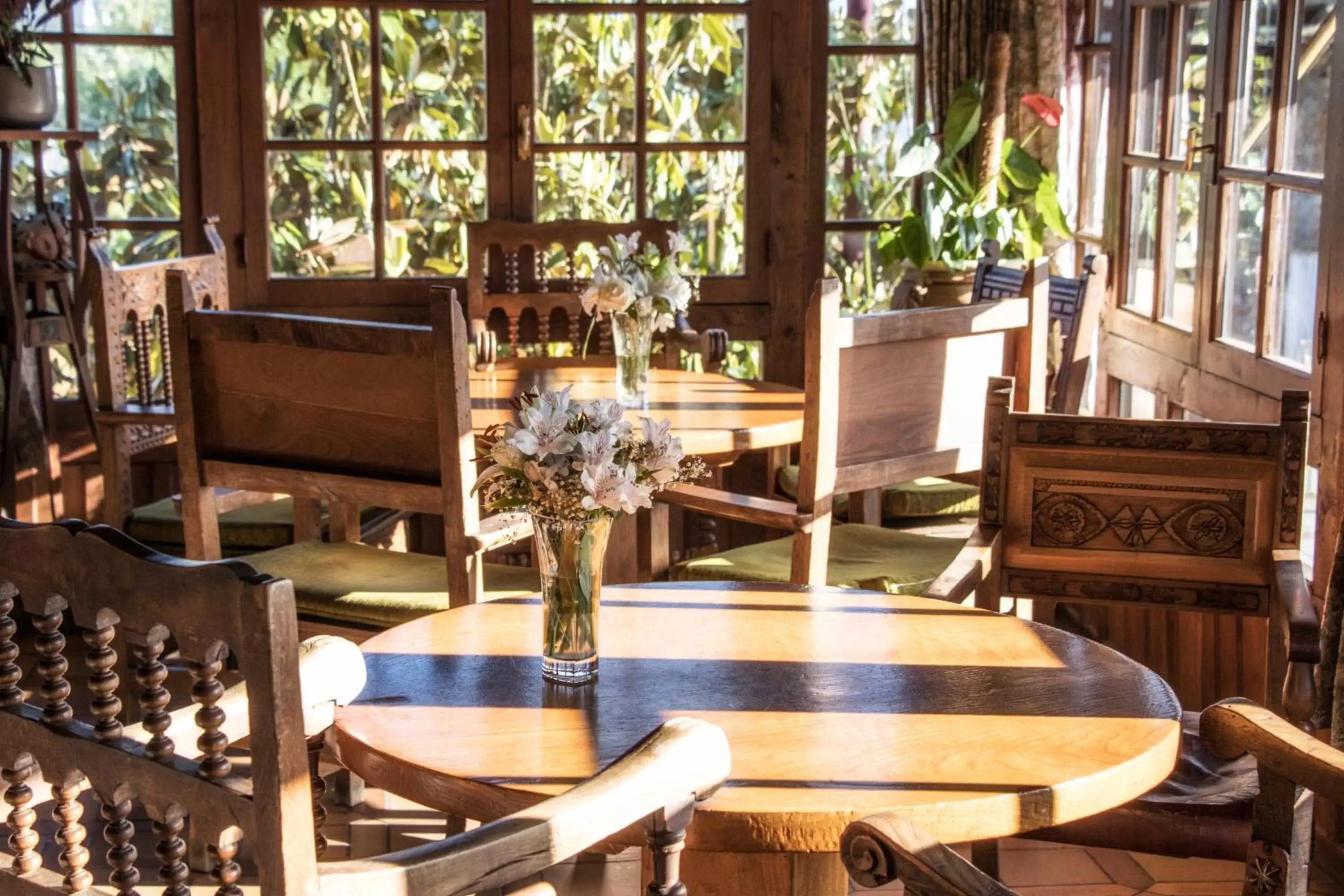 Lounge or bar, Restaurant/Places to Eat in La Moncloa de San Lazaro