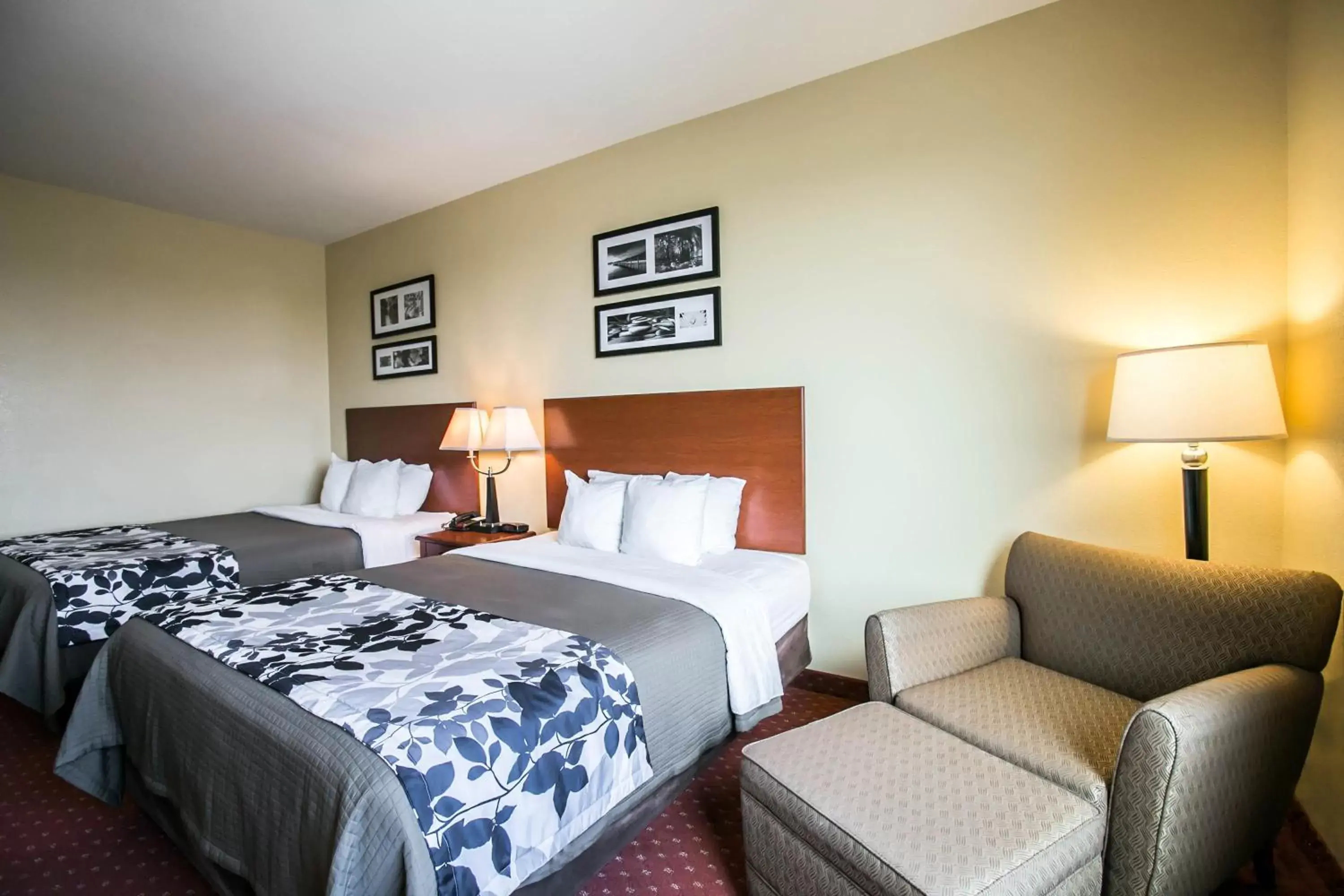 Queen Room with Two Queen Beds - Non-Smoking in Sleep Inn & Suites New Braunfels