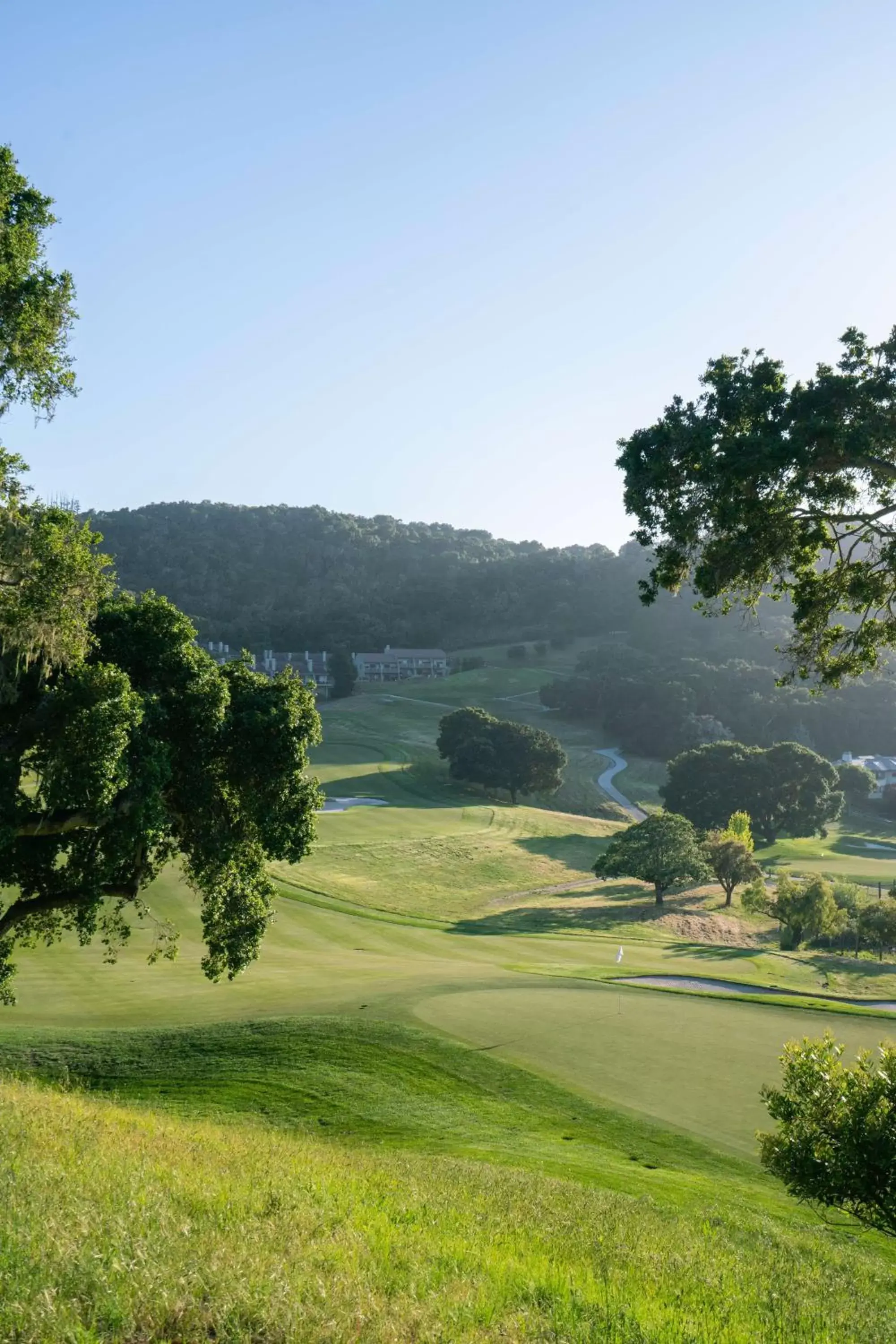 Golfcourse in Carmel Valley Ranch, in The Unbound Collection by Hyatt