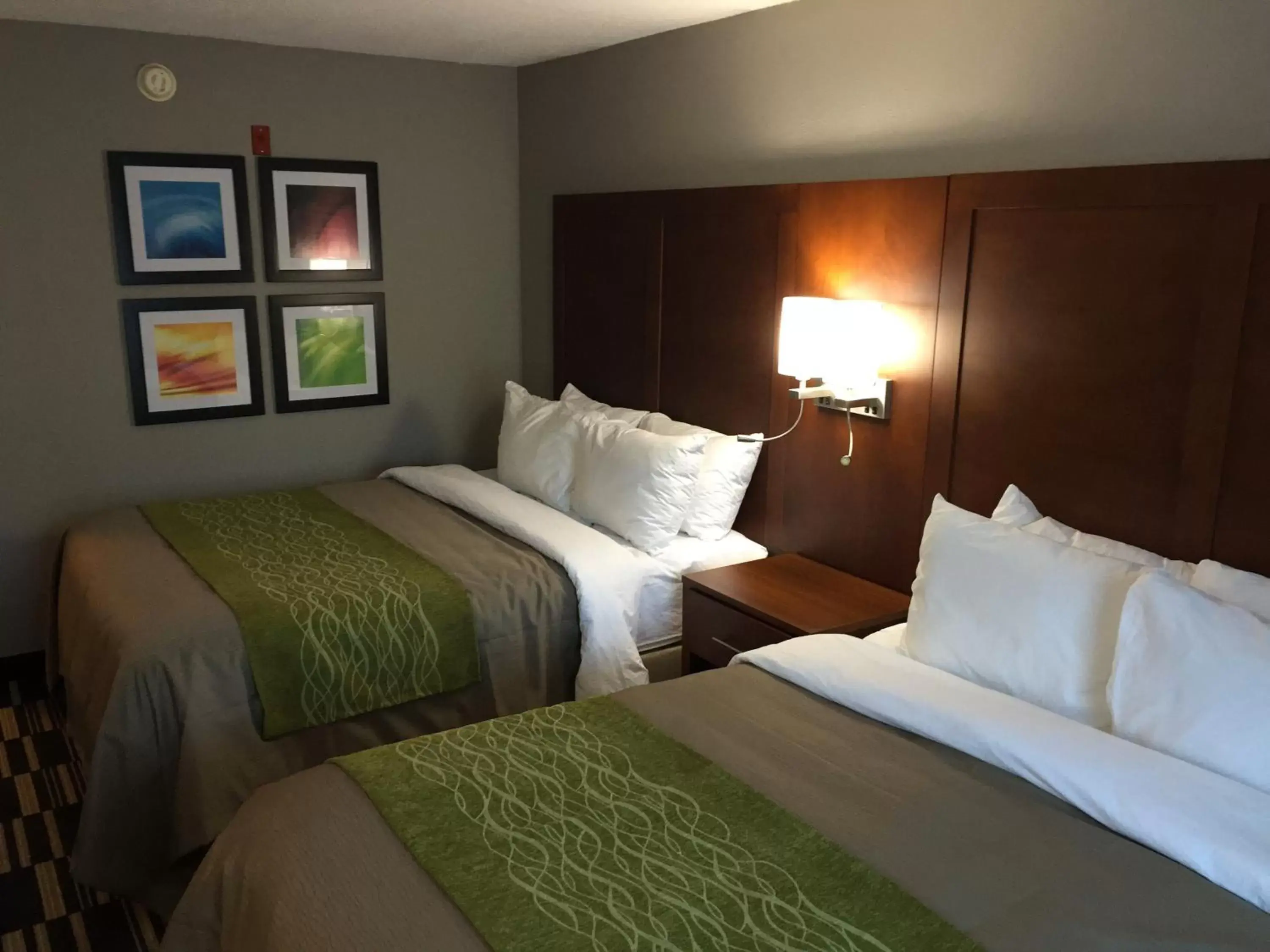 Queen Room with Two Queen Beds - Non-Smoking in Quality Inn & Suites Ashland near Kings Dominion