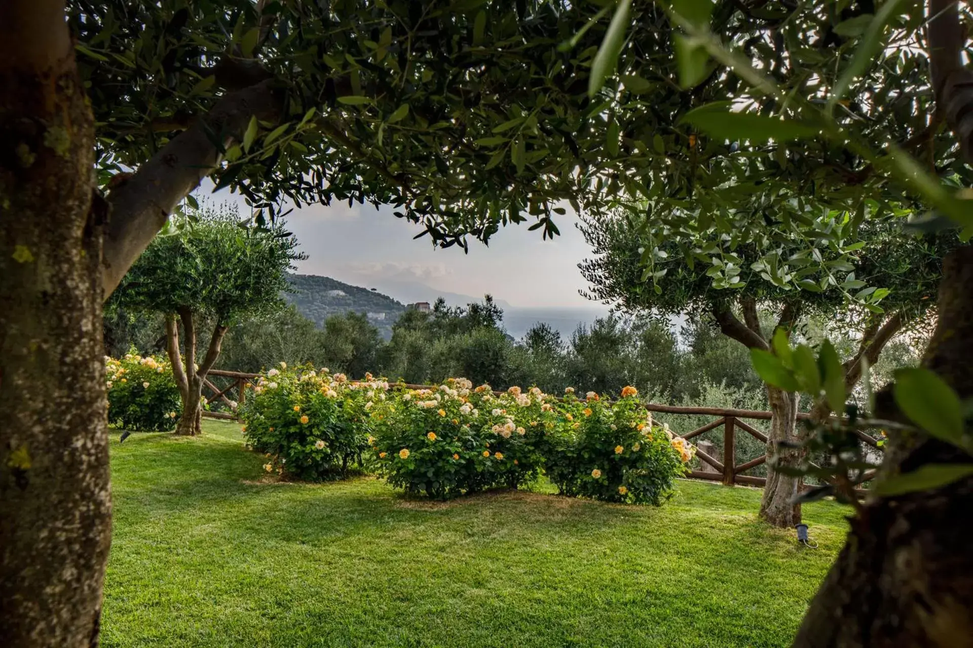 Garden in Villa Fiorella Art Hotel