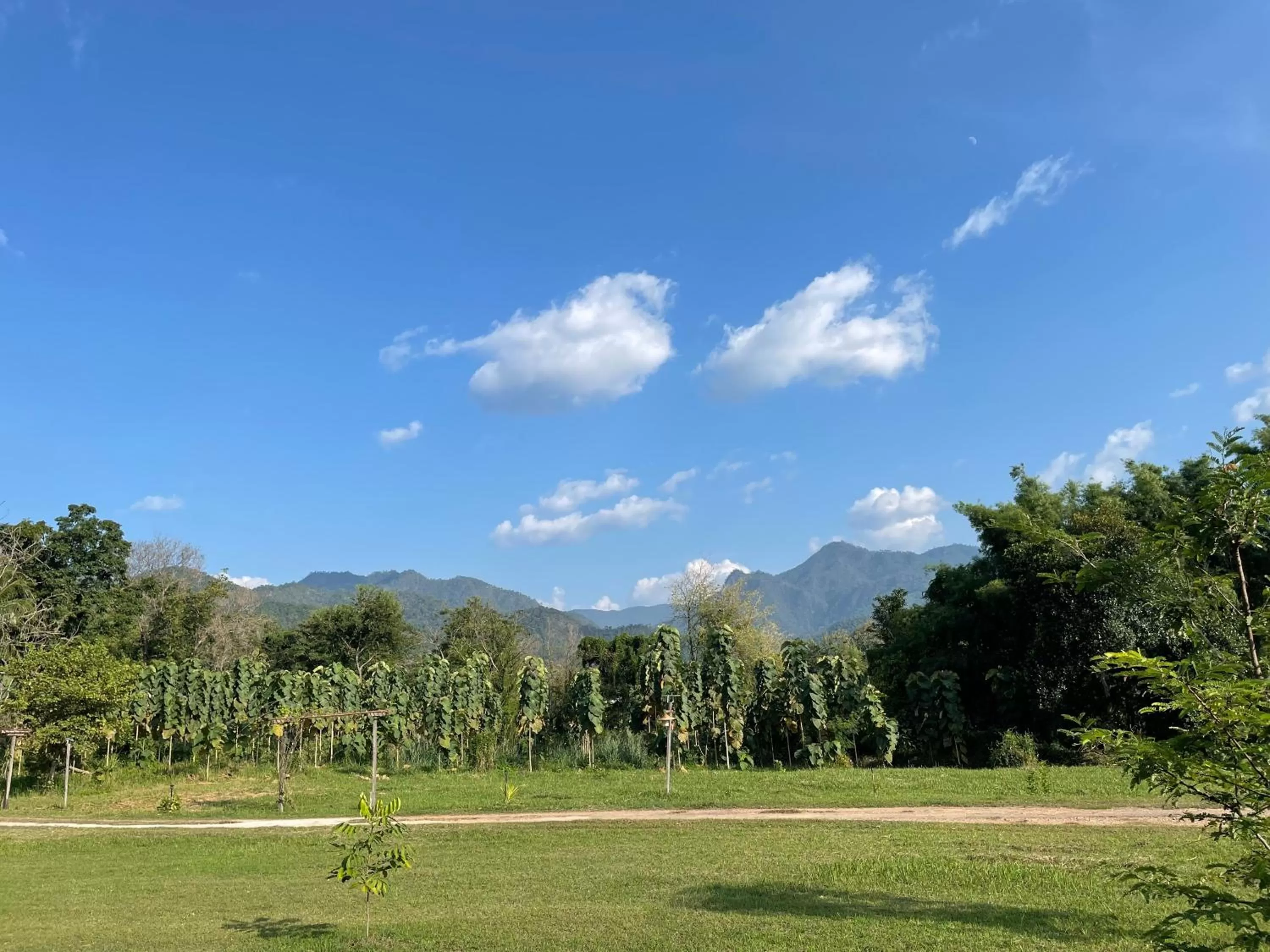 ห้วยน้ำรินรีสอร์ท The Creek Garden Resort