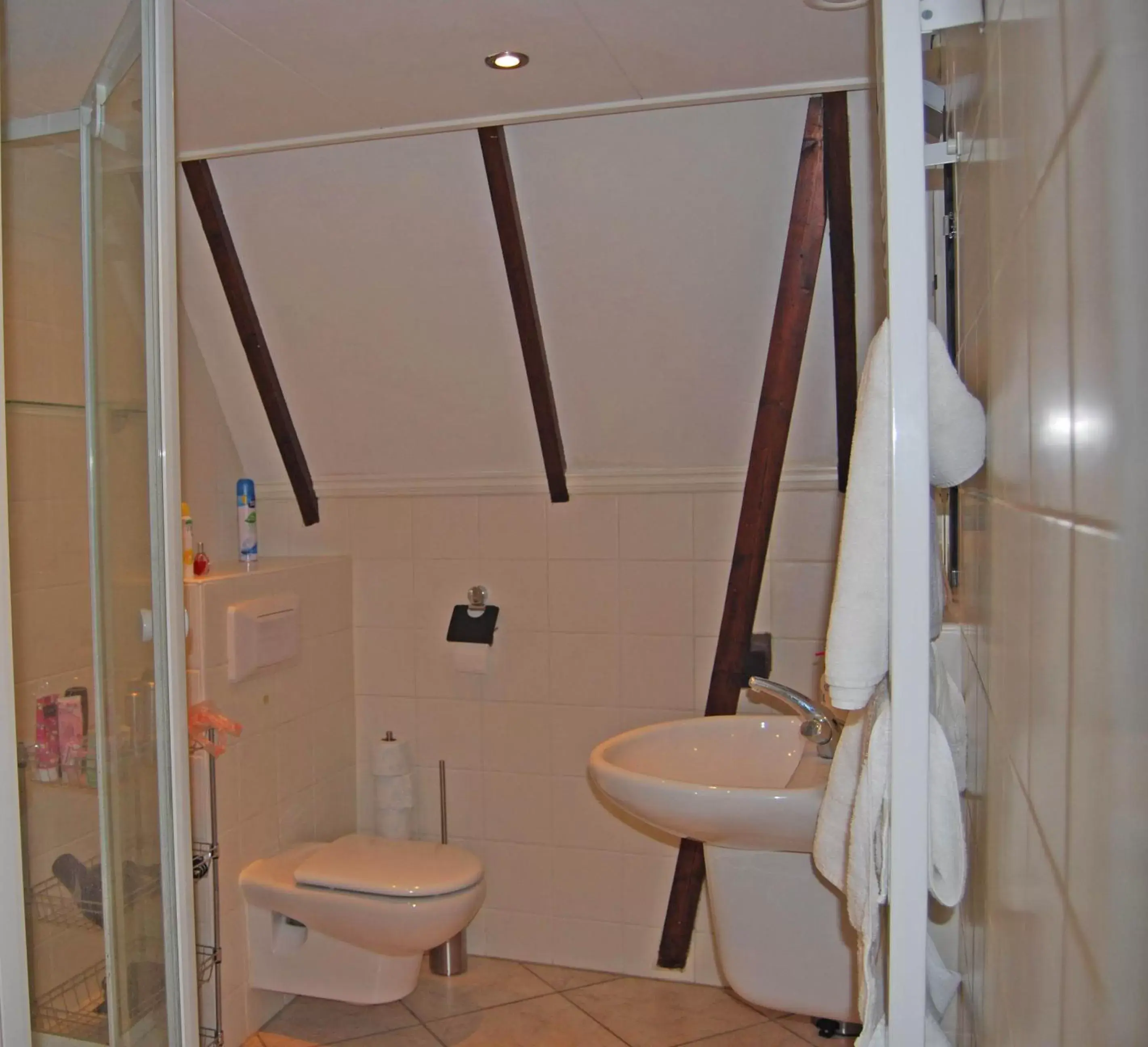 Shower, Bathroom in Hotel de Vischpoorte, hartje Deventer en aan de IJssel