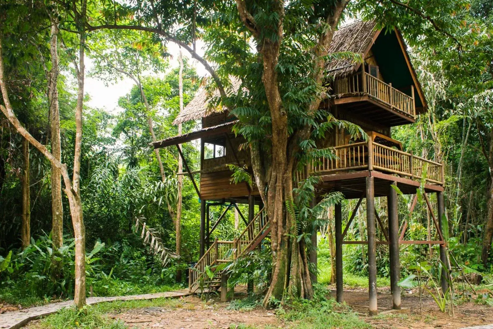 Photo of the whole room, Property Building in Our Jungle Camp - Eco Resort SHA Certified