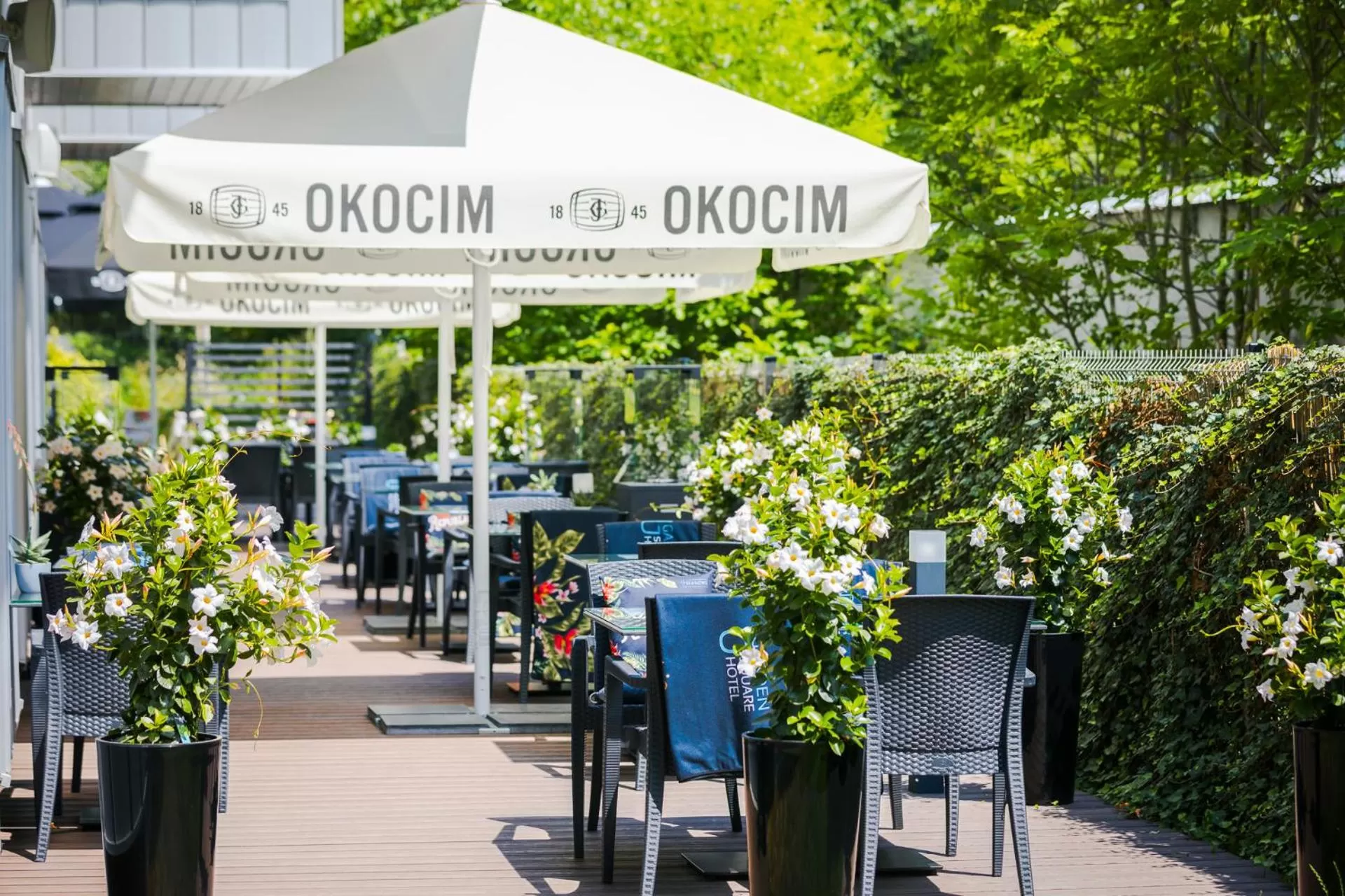 Day in Focus Hotel Premium Kraków