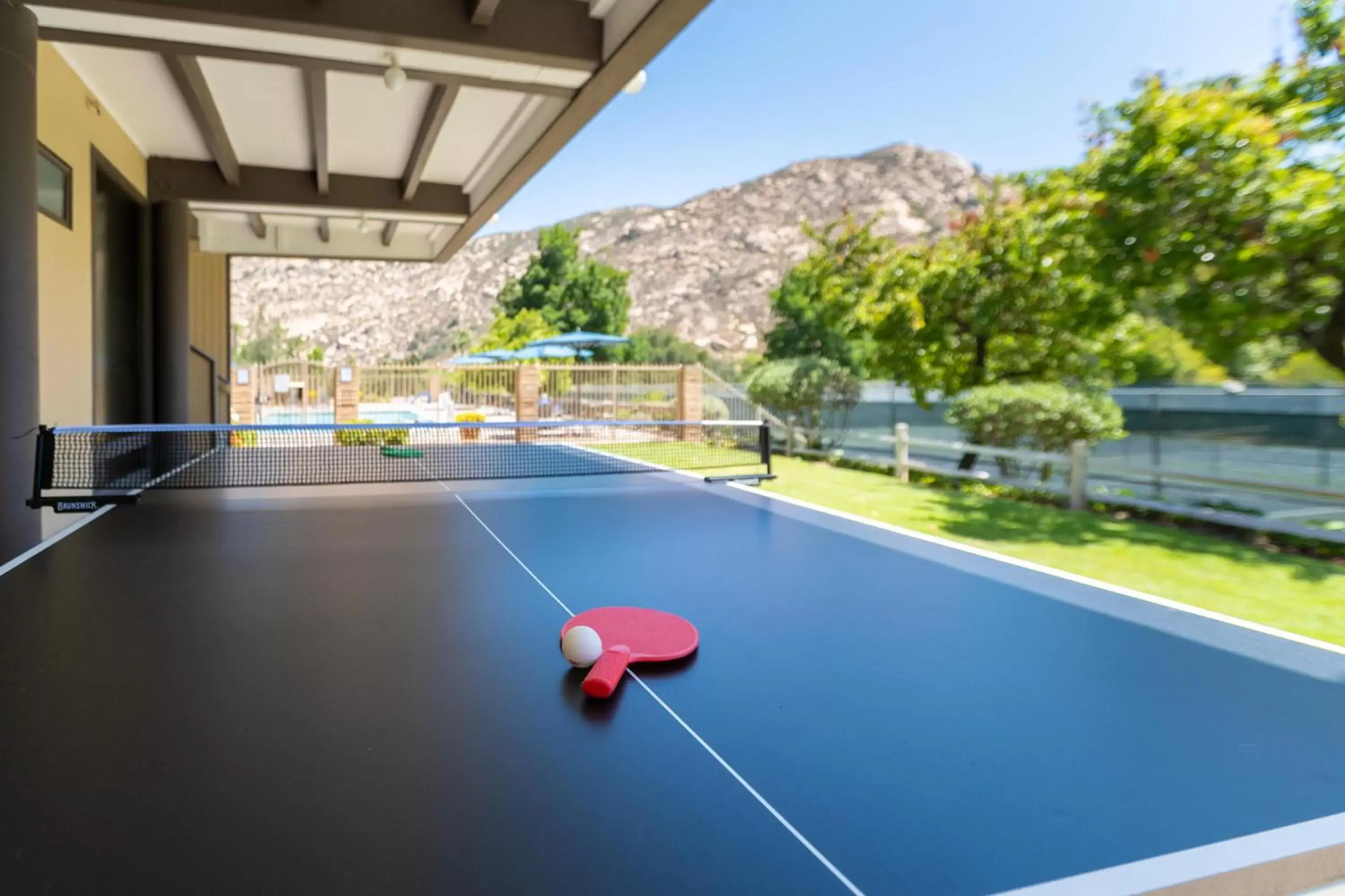 Table Tennis in San Diego Country Estates