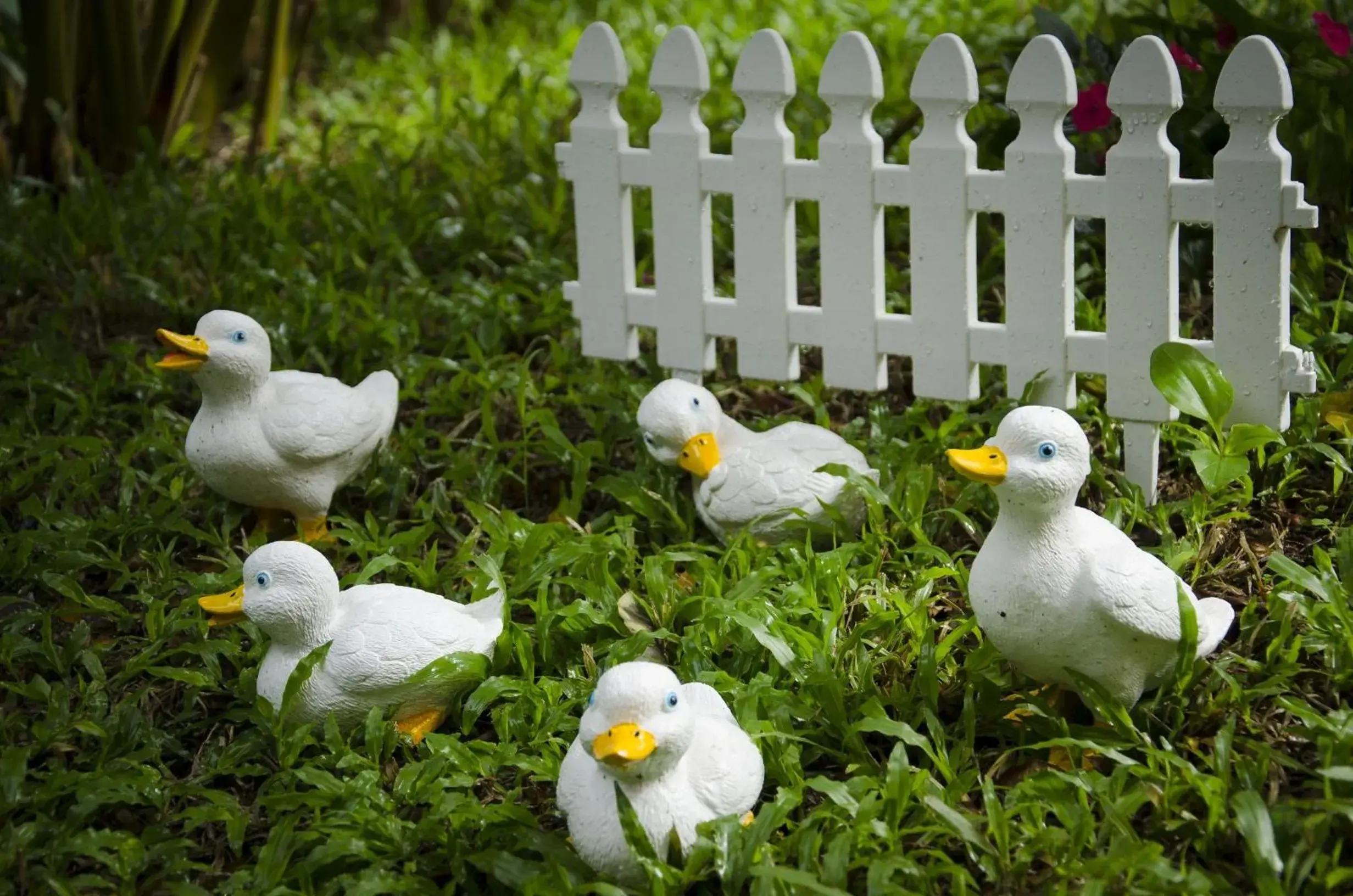 Decorative detail, Other Animals in The Sylvana Pai Hotel