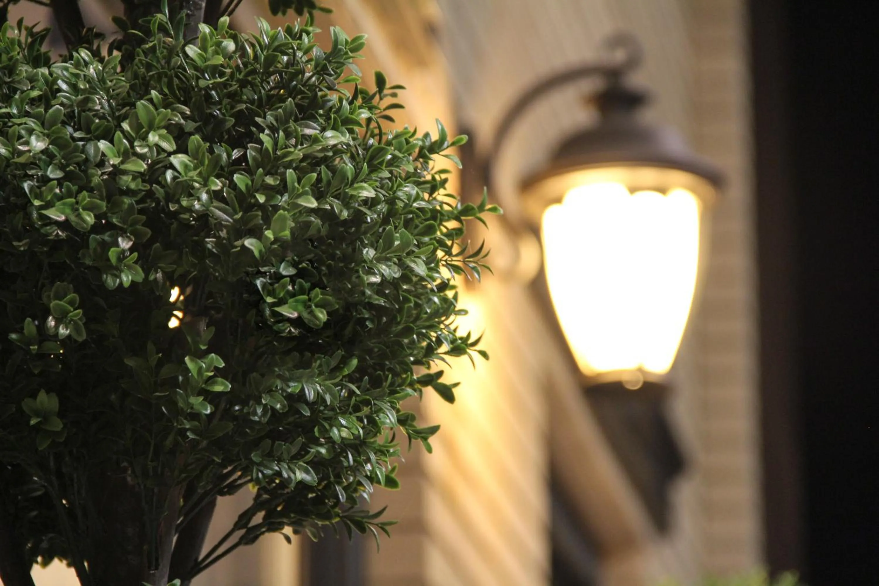 Decorative detail in Grand View Inn & Suites