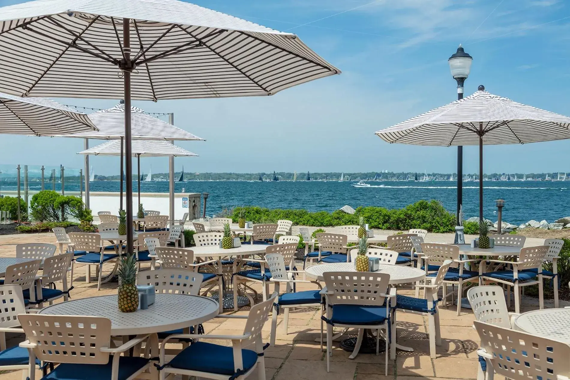 Patio, Restaurant/Places to Eat in Newport Harbor Island Resort