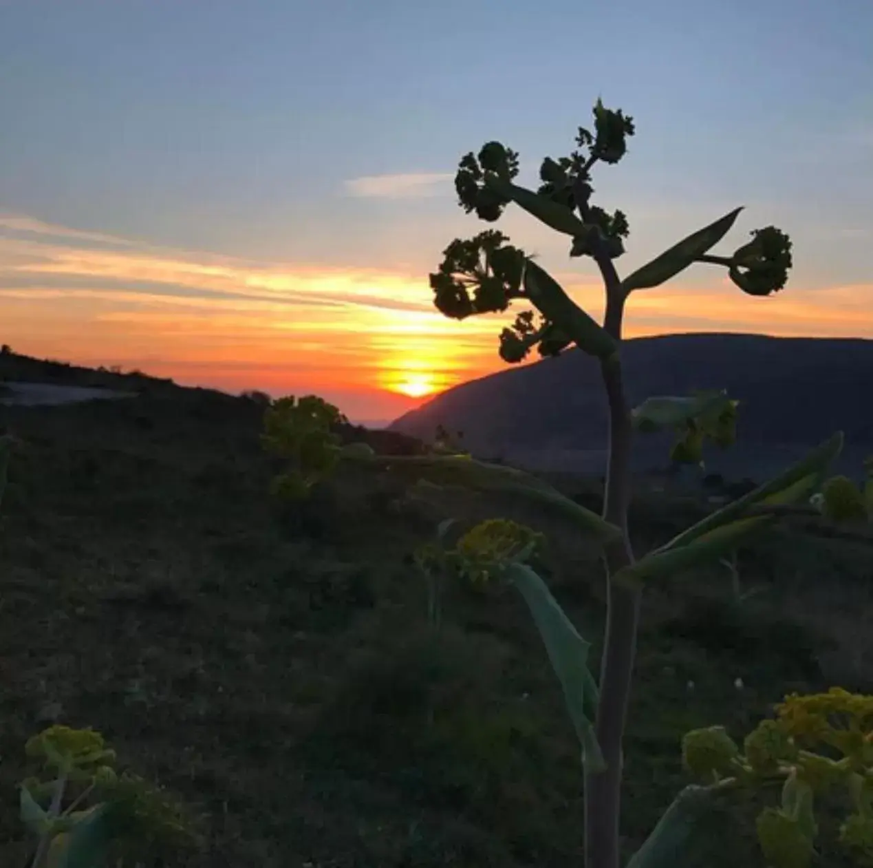 Sunset in In Sicilia da Ciro