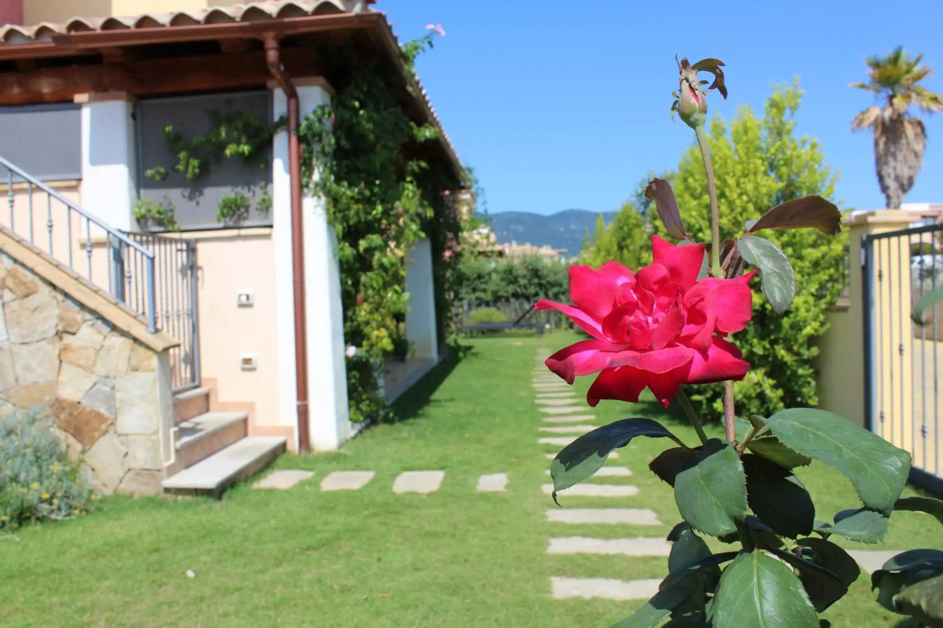 Garden in Acquachiara Rooms