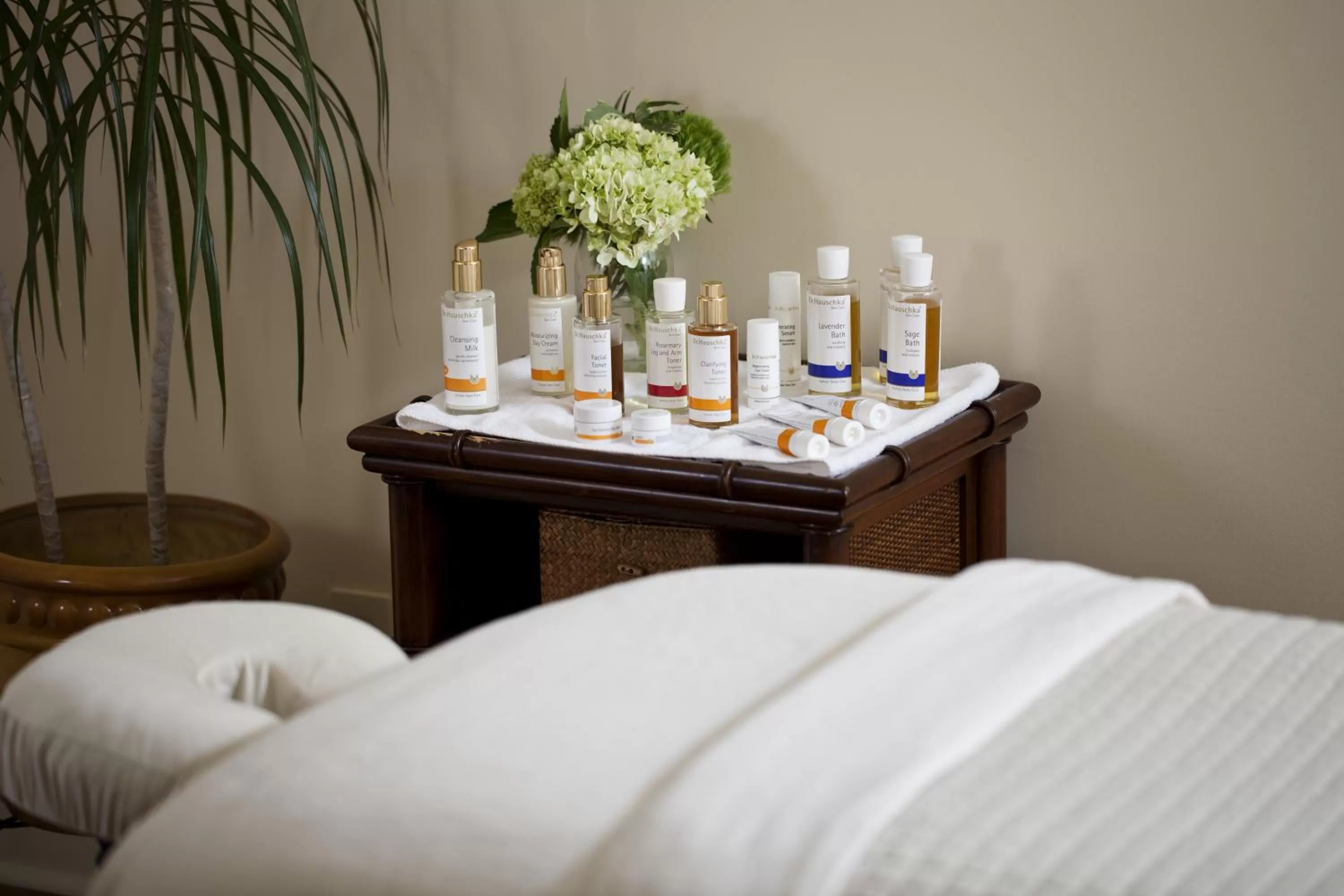 Massage, Bed in Fairview Inn