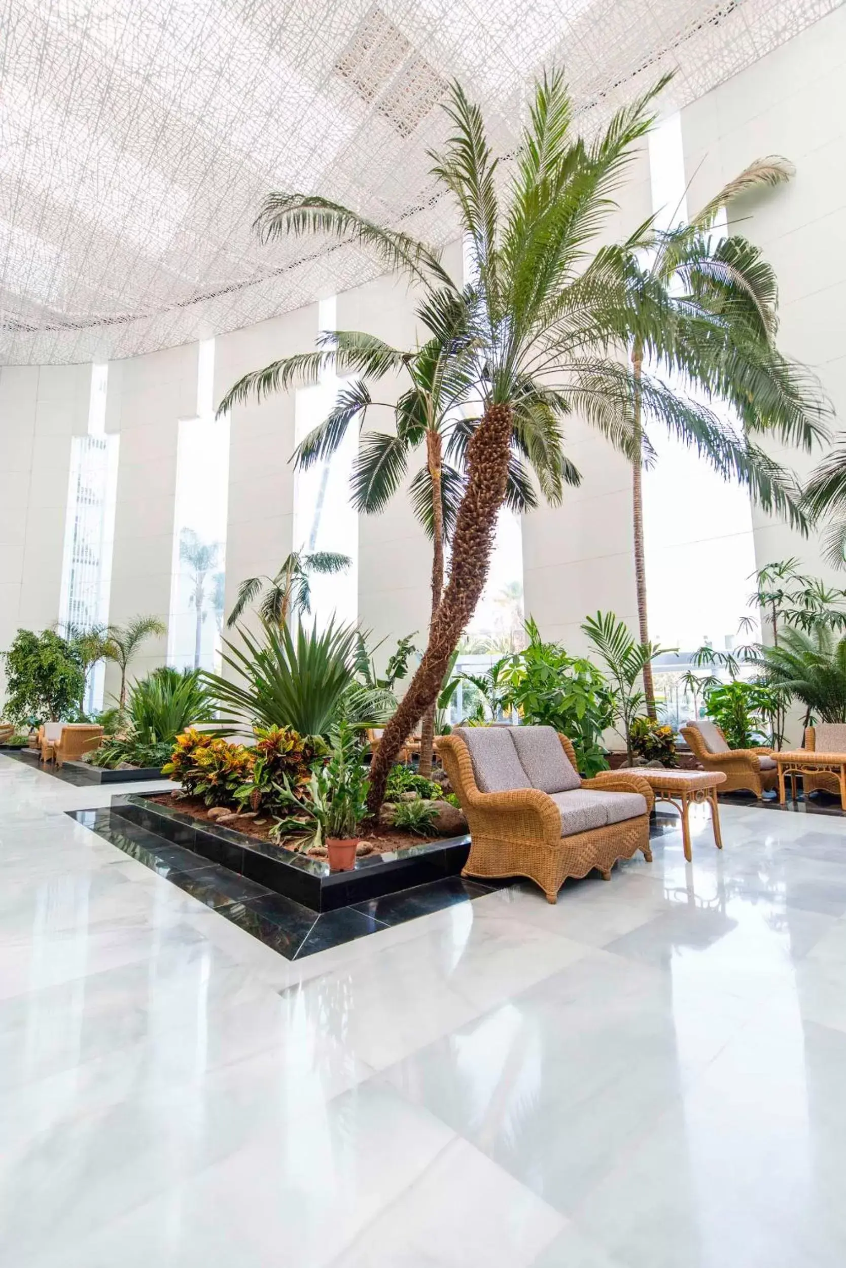 Lobby or reception in Spring Hotel Vulcano Lobby or reception in Spring Hotel Vulcano