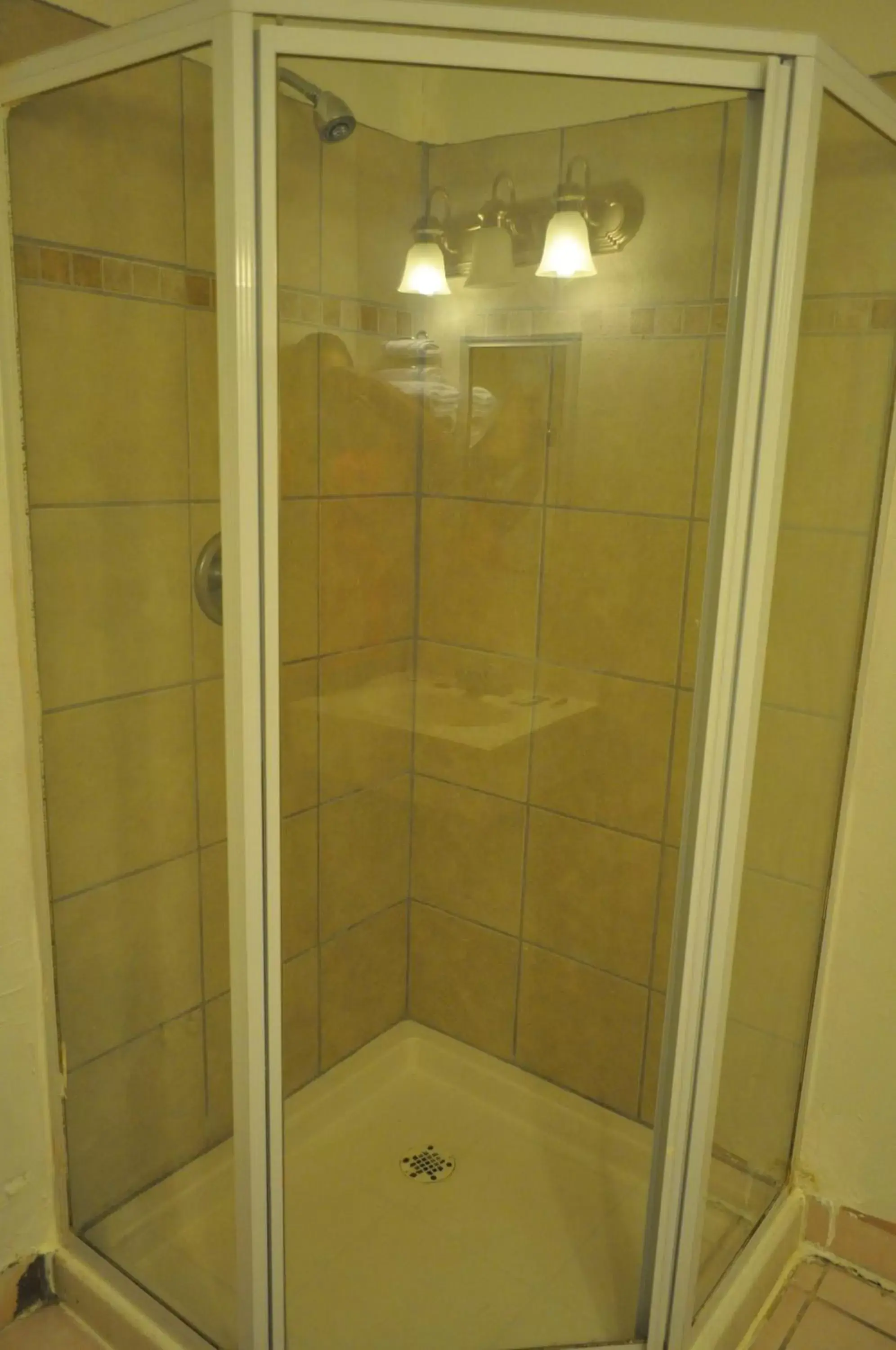 Shower, Bathroom in California Suites Motel