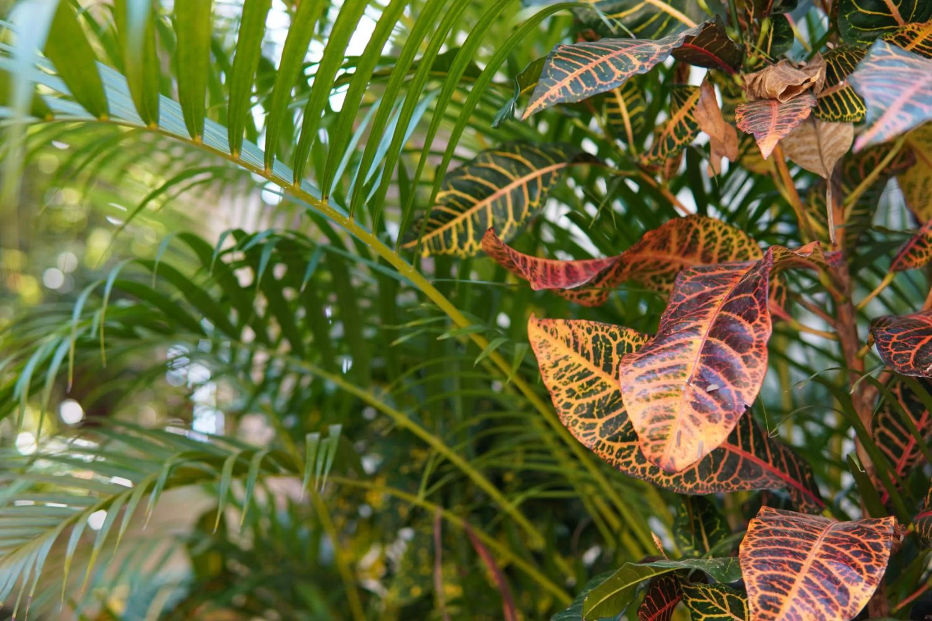 Day in Aldea San Lam - Oasis Of Tulum