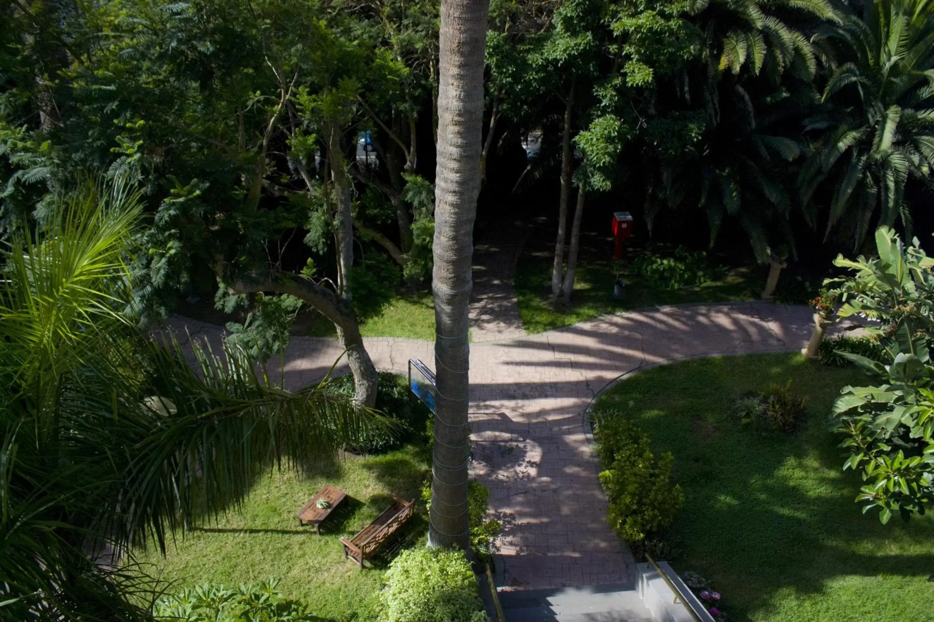 Garden view, Garden in Hotel Escuela Santa Brígida