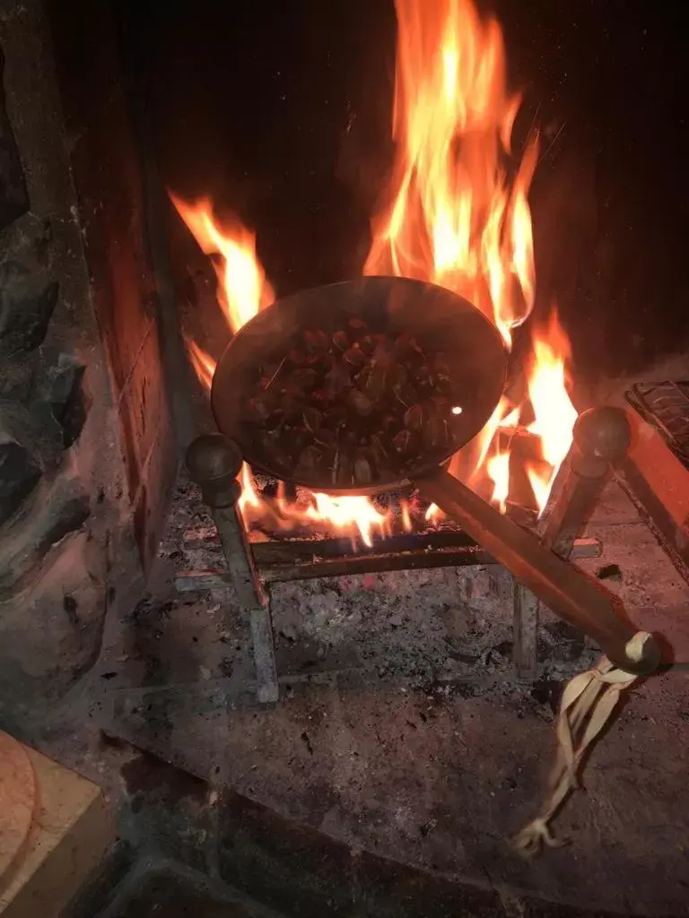 BBQ Facilities in Villa Dacia