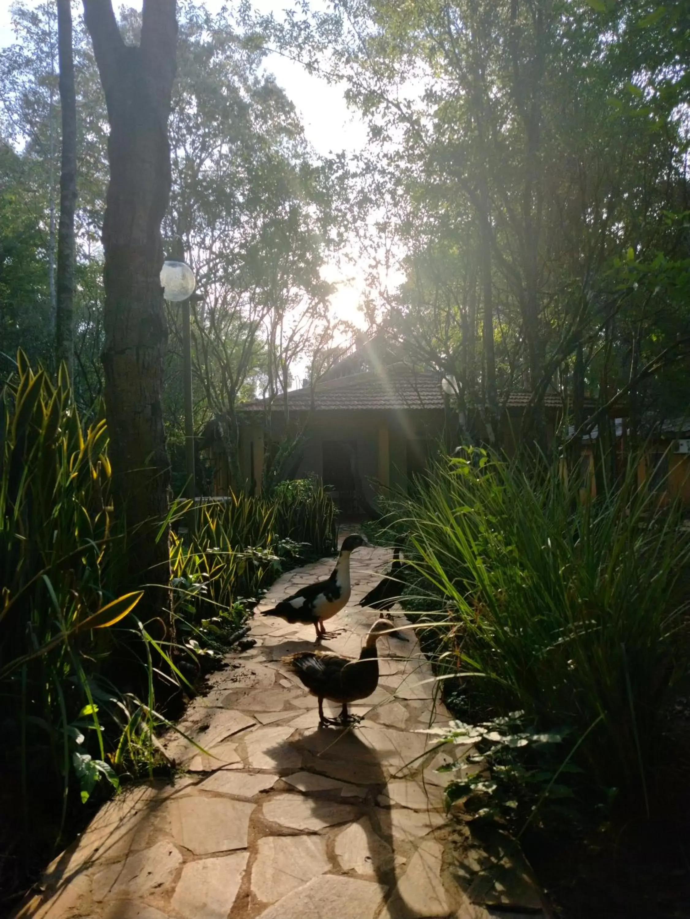 La Cautiva Iguazú Hotel