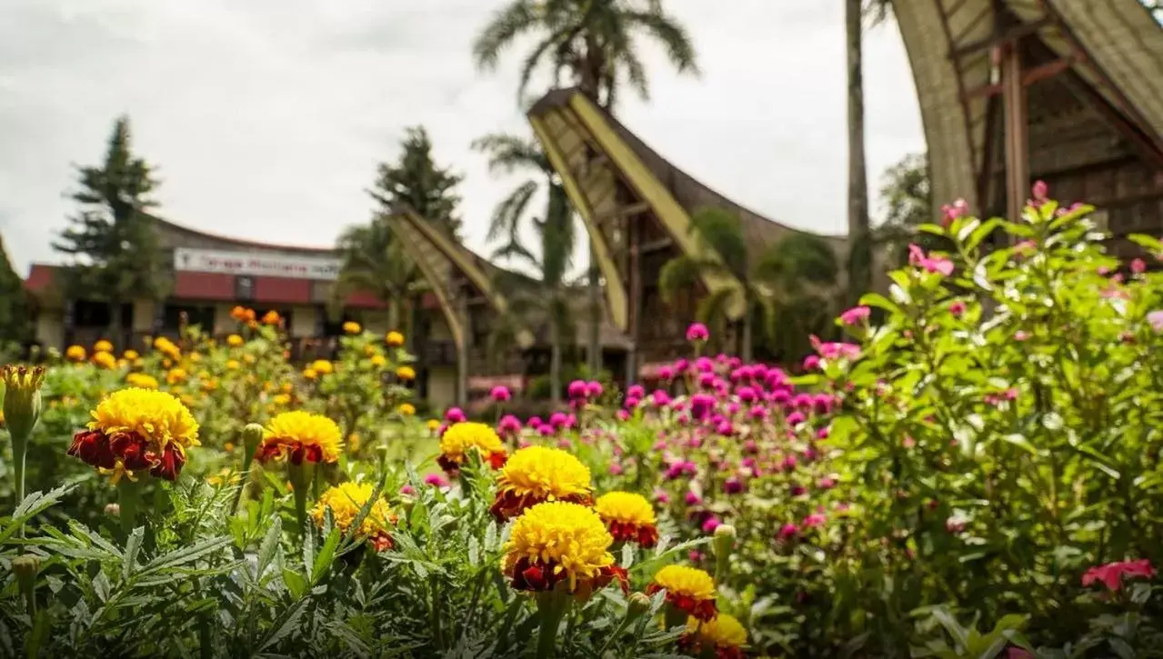 Property Building in Toraja Misiliana Hotel