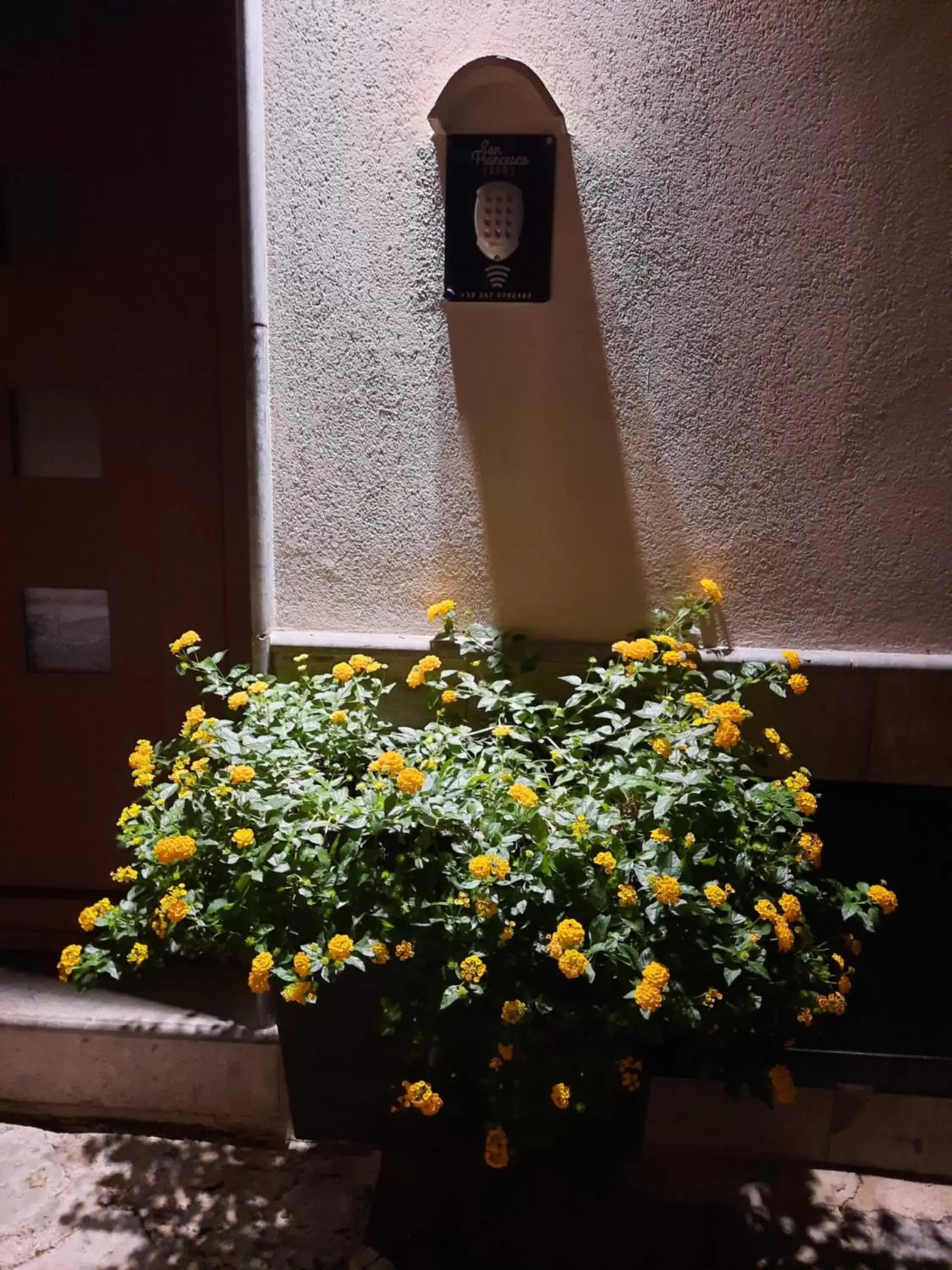 Facade/entrance in San Francesco Rooms and Apartment with Terrace in Palermo