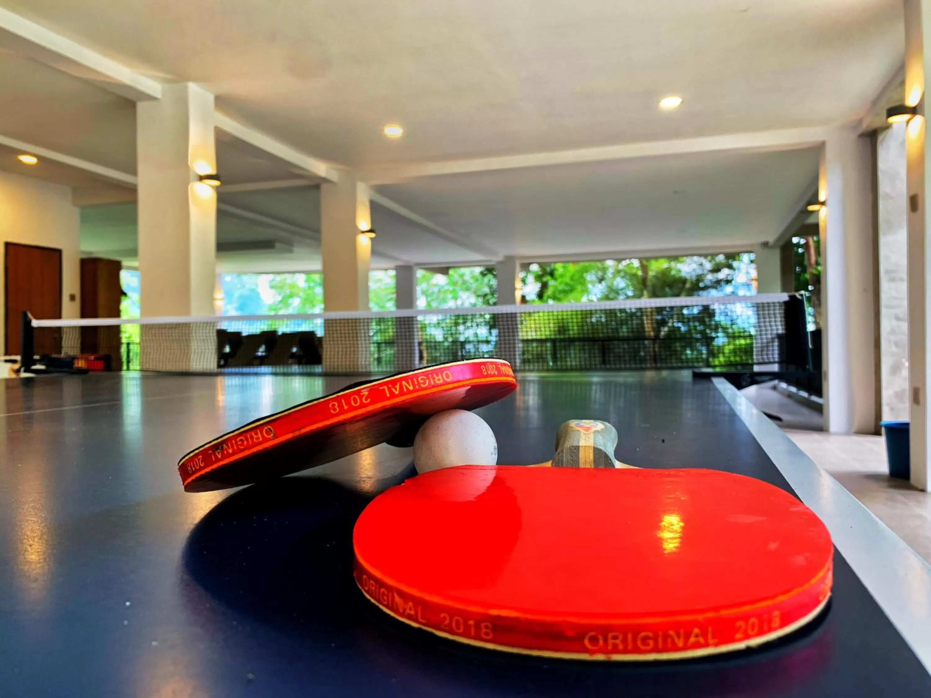 Table tennis in Harmony Valley Retreat