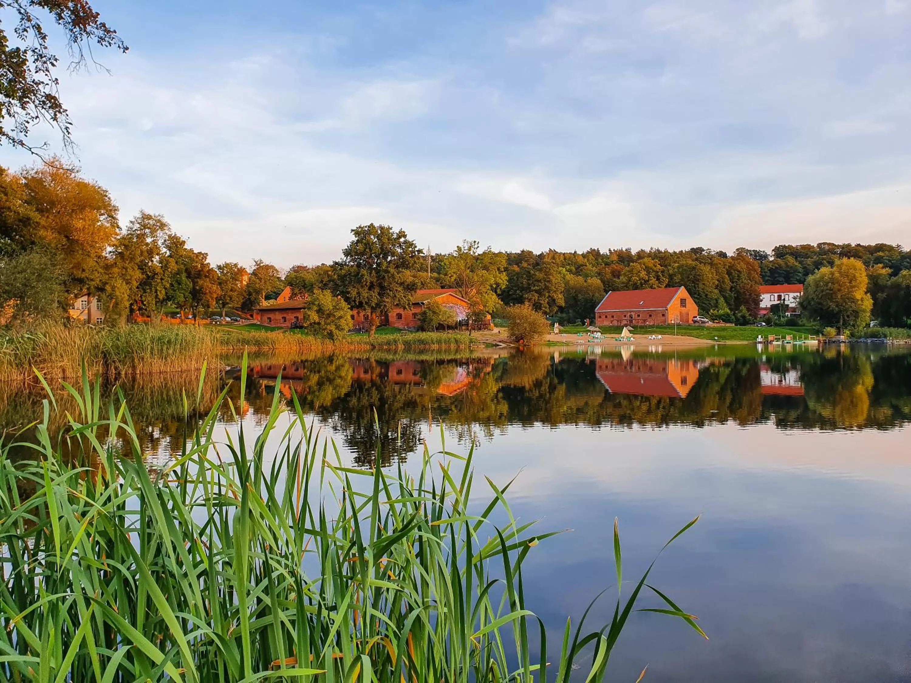 Lake view in Olandia