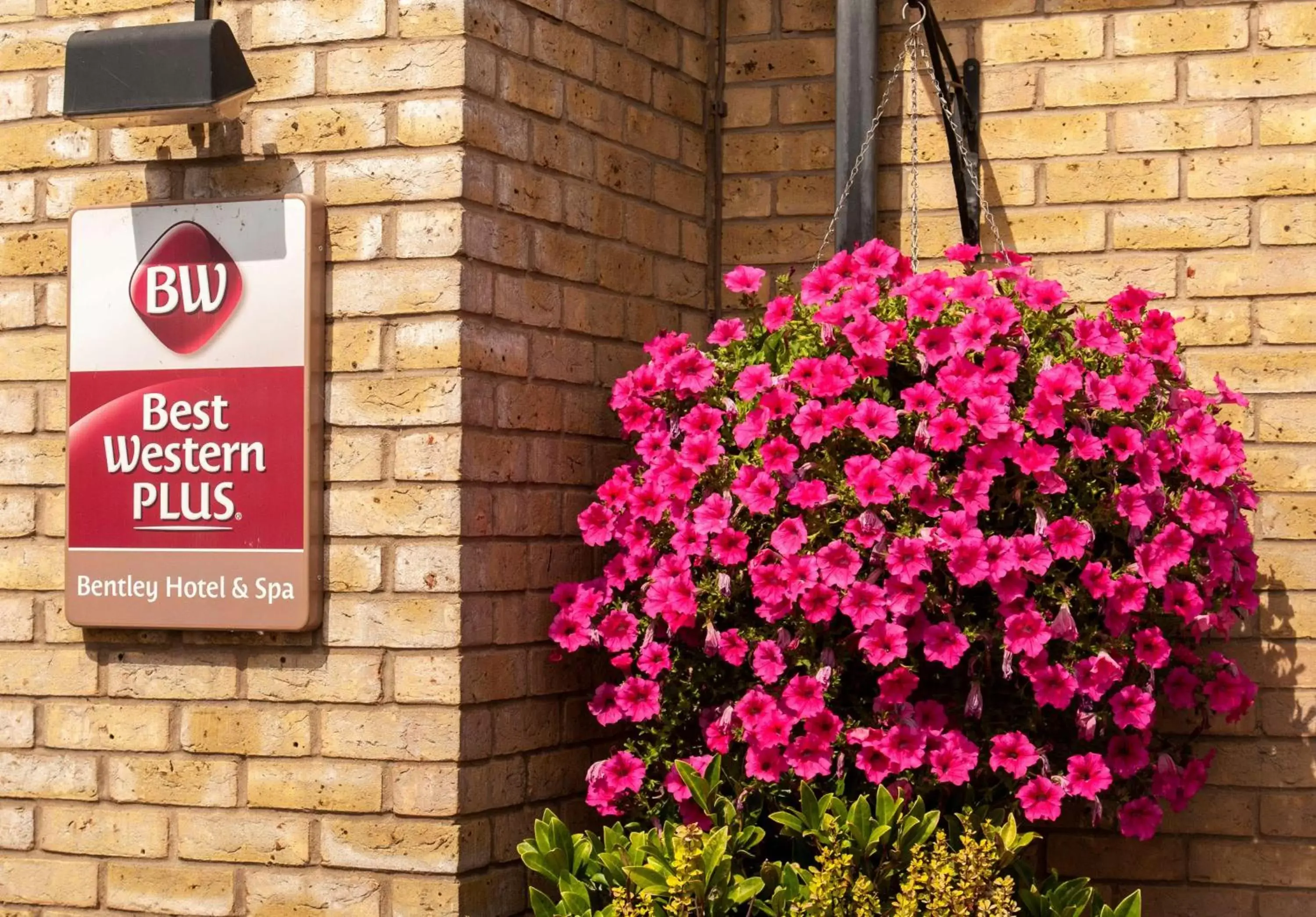 Property building in Best Western Plus Bentley Hotel Property building in Best Western Plus Bentley Hotel