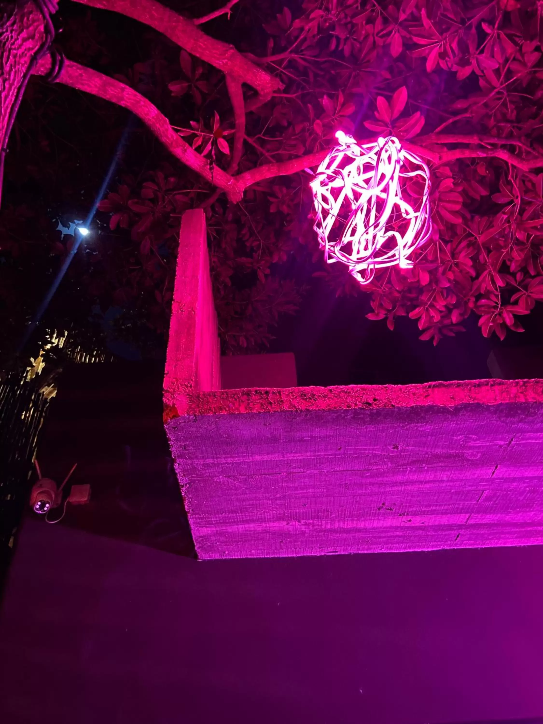 Lounge or bar in Loba Tulum Male Only