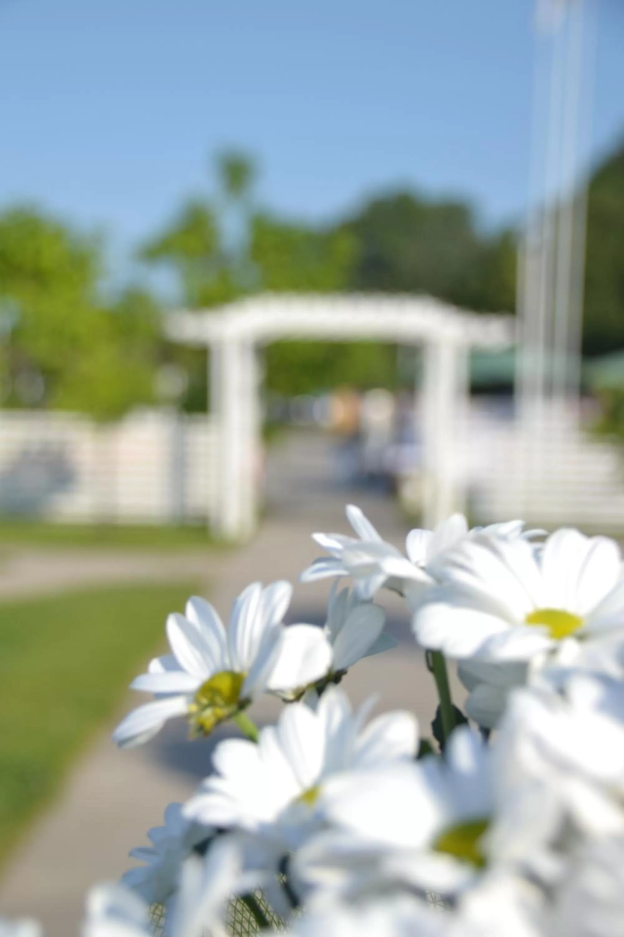 On site in Knyazha Hora Hotel
