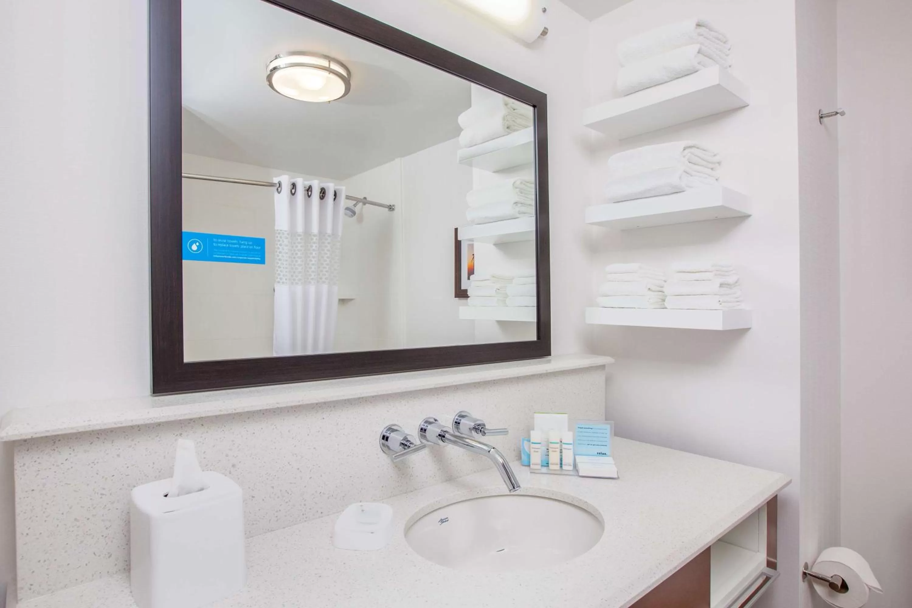 Bathroom in Hampton Inn & Suites Pasco/Tri-Cities, WA