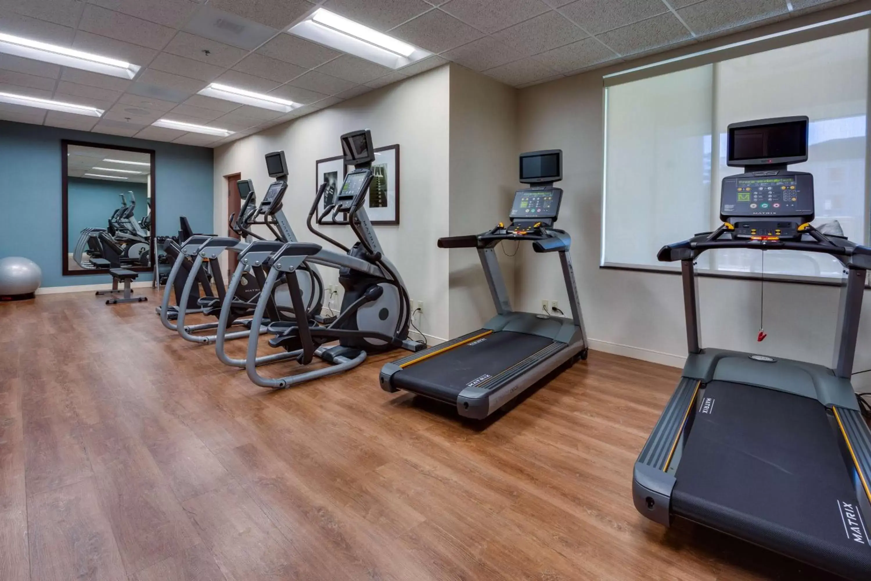 Spa and wellness centre/facilities, Fitness Center/Facilities in Drury Inn & Suites Gainesville