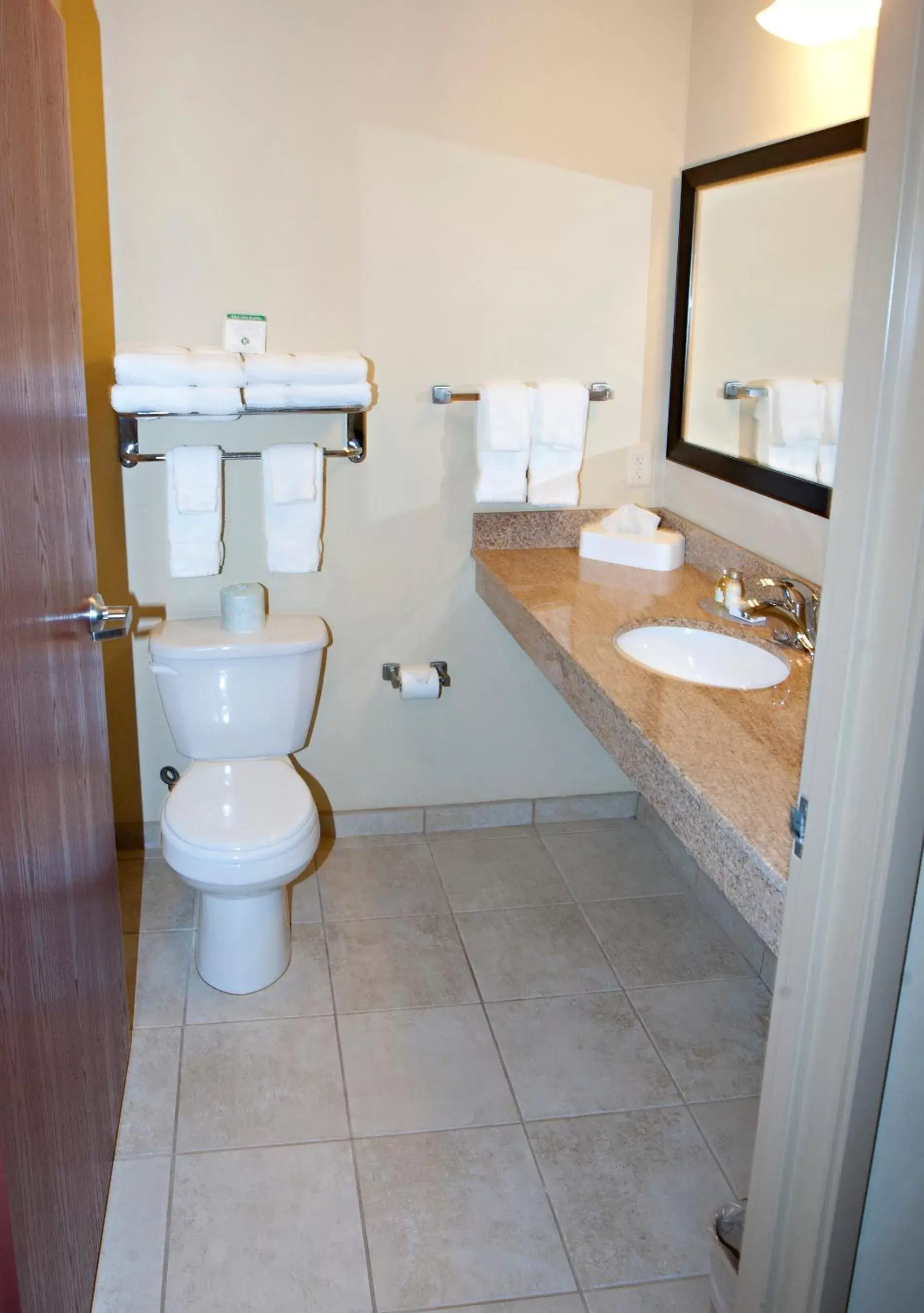 Bathroom in Cobblestone Inn & Suites - Langdon