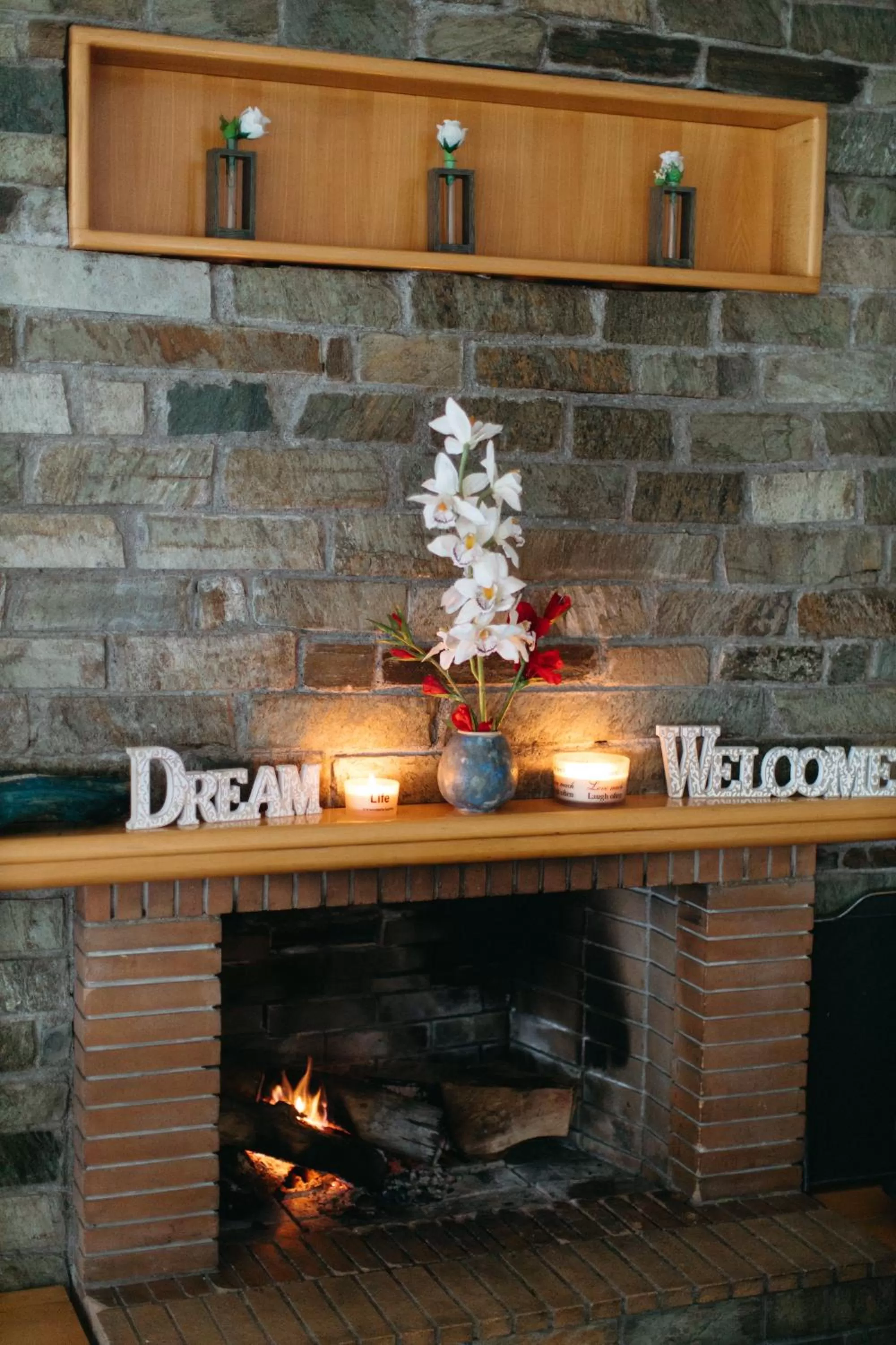 pet friendly in Hotel Christina - Happy Days