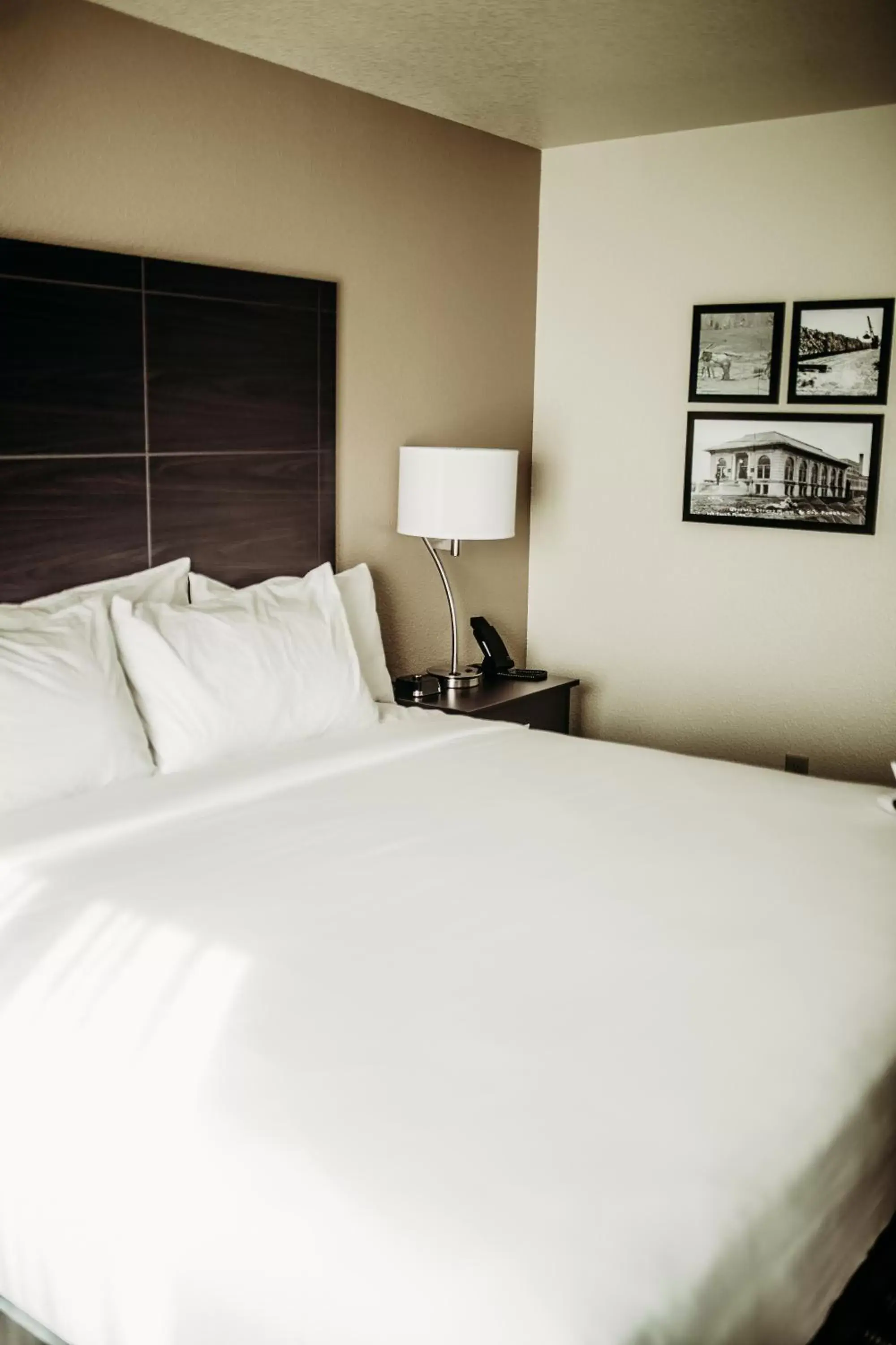 Bed in Cobblestone Hotel & Suites International Falls