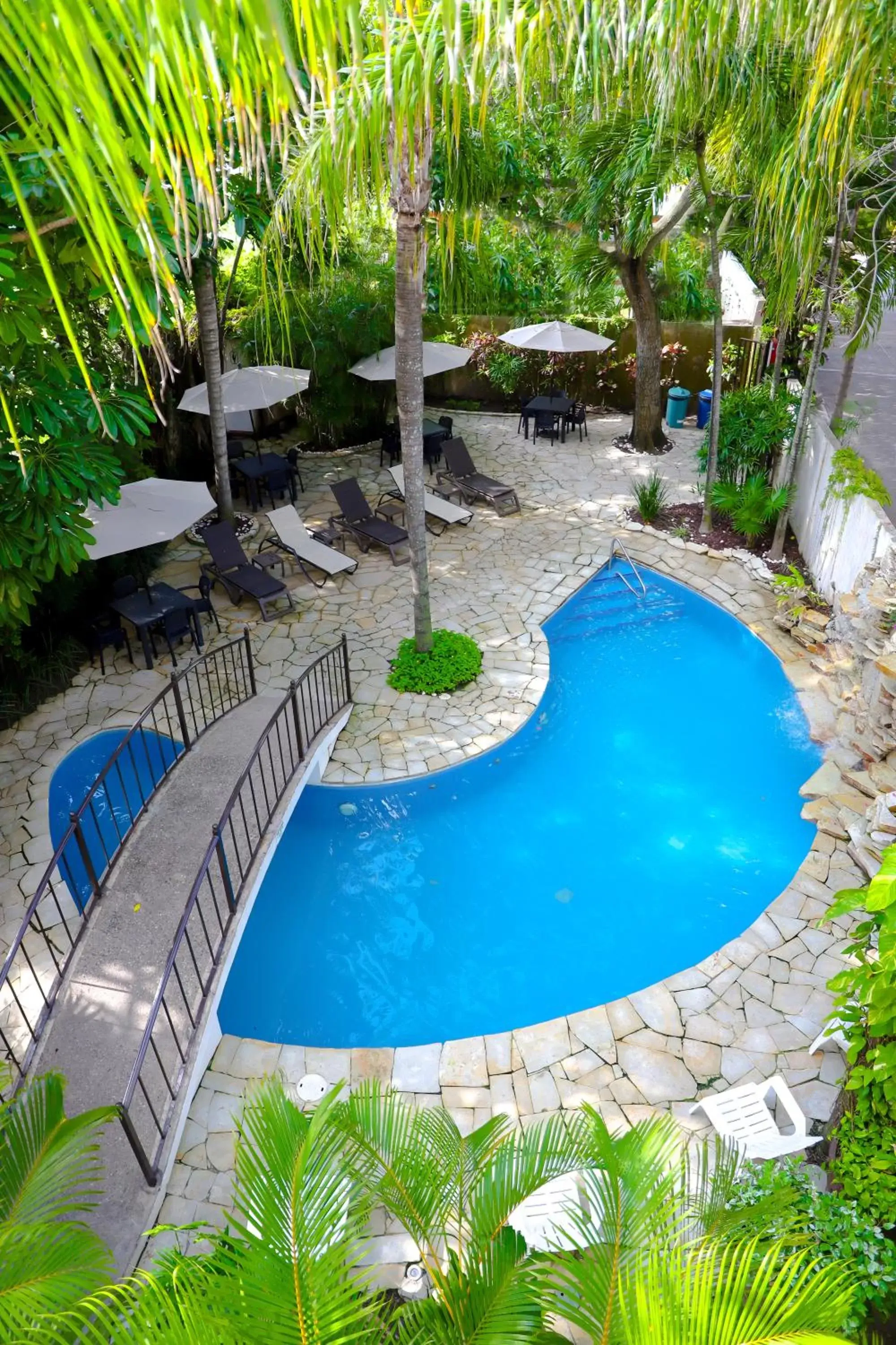Garden, Pool View in Comfort Inn Tampico