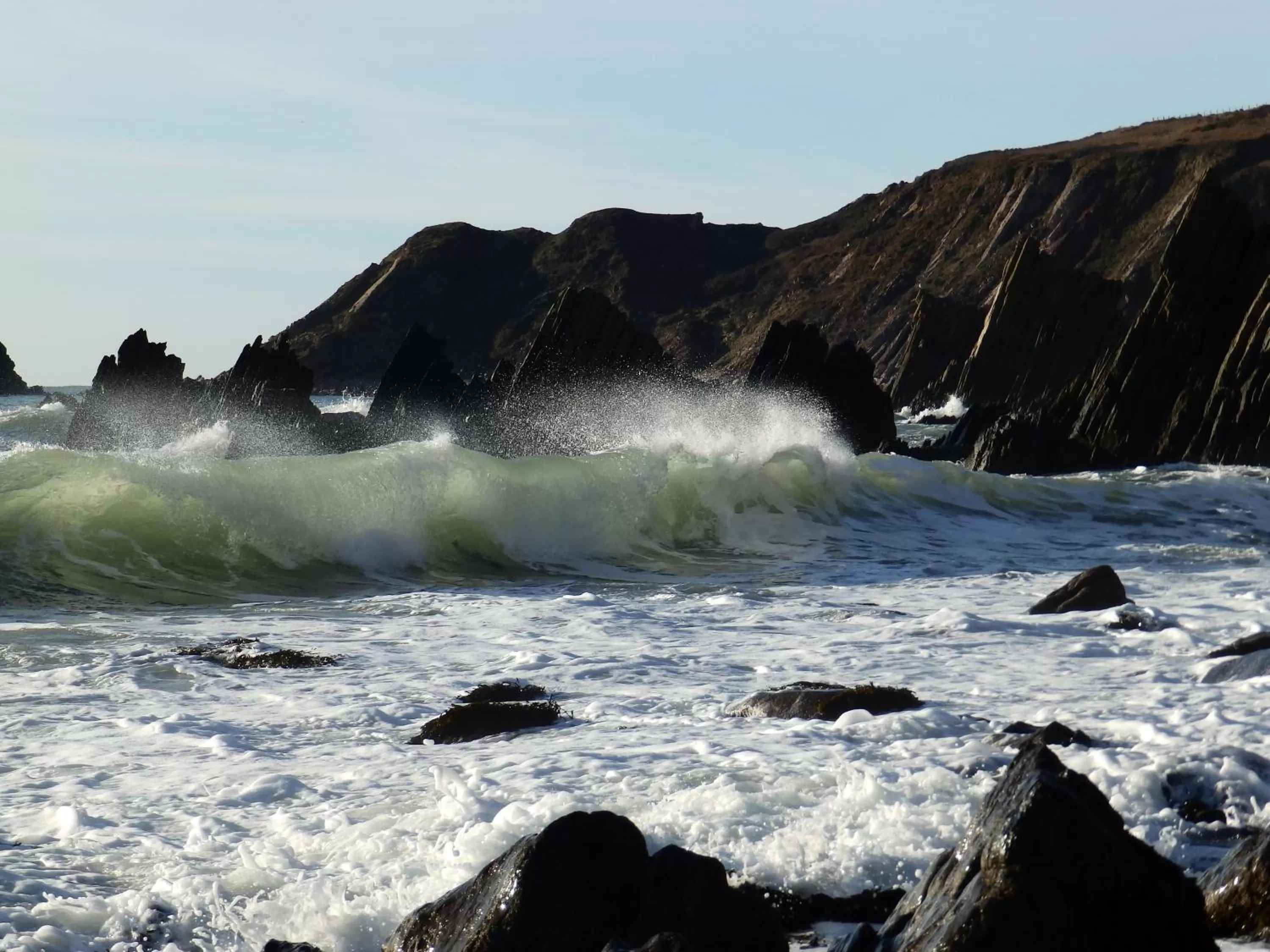 Rosedene Guest House