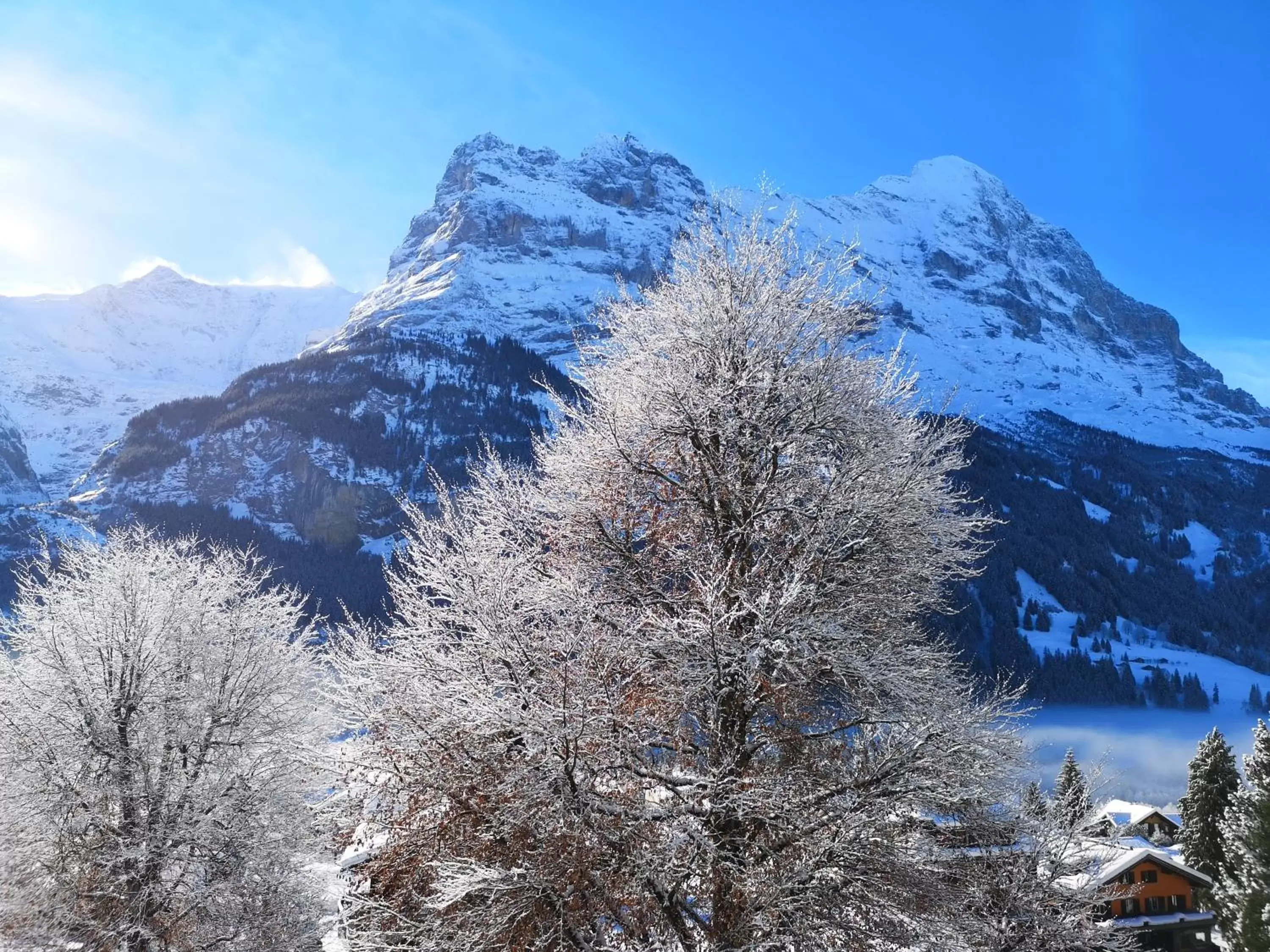 Mountain view, Winter in Parkhotel Schoenegg