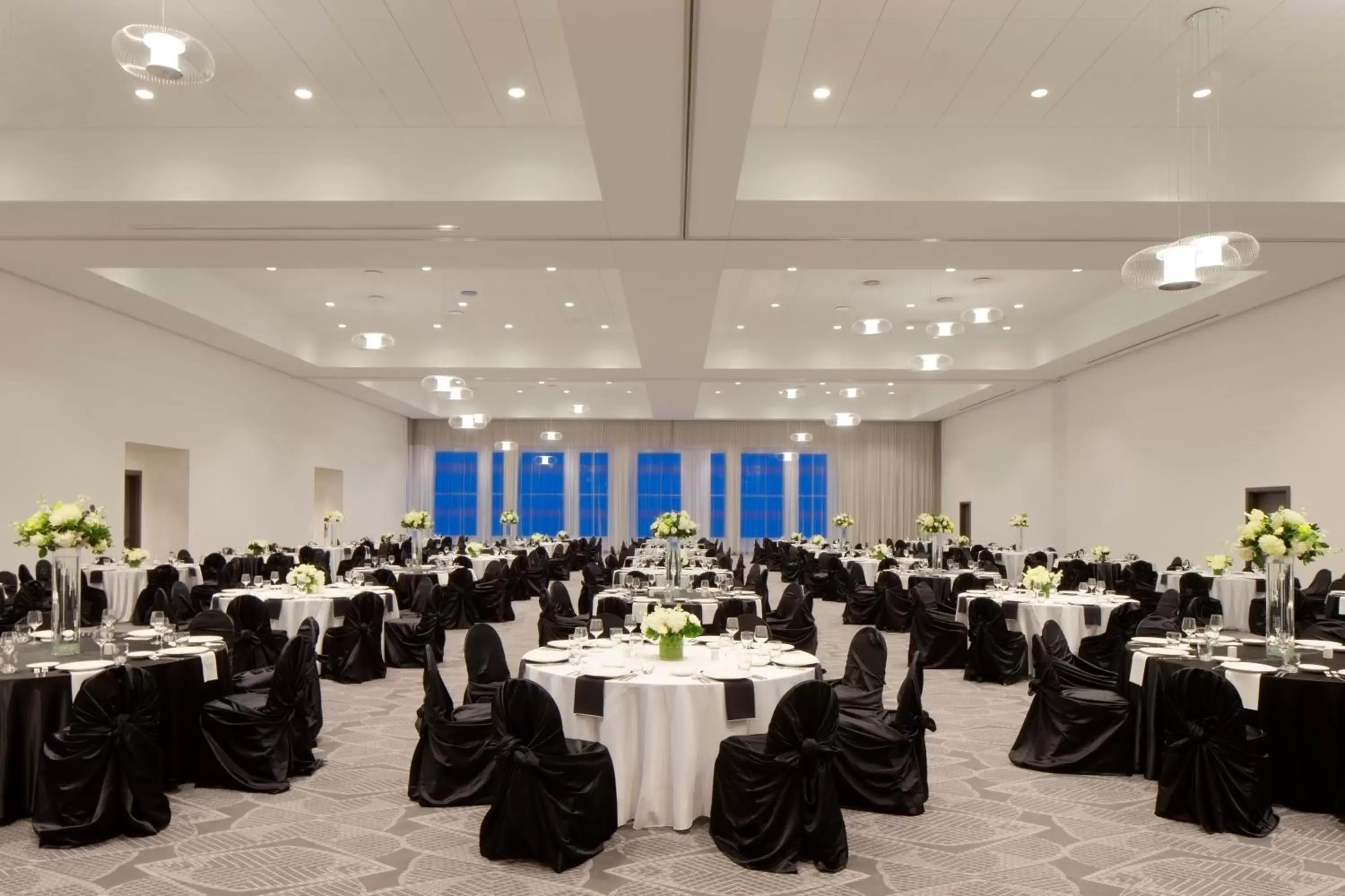 Business facilities, Banquet Facilities in Radisson Blu Mall of America