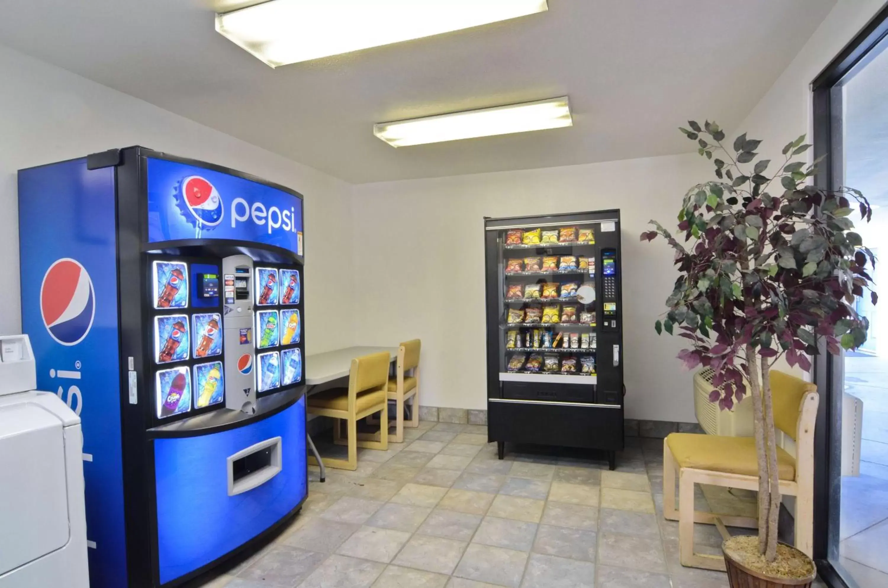 Property building, Supermarket/Shops in Motel 6-Palm Springs, CA - East - Palm Canyon