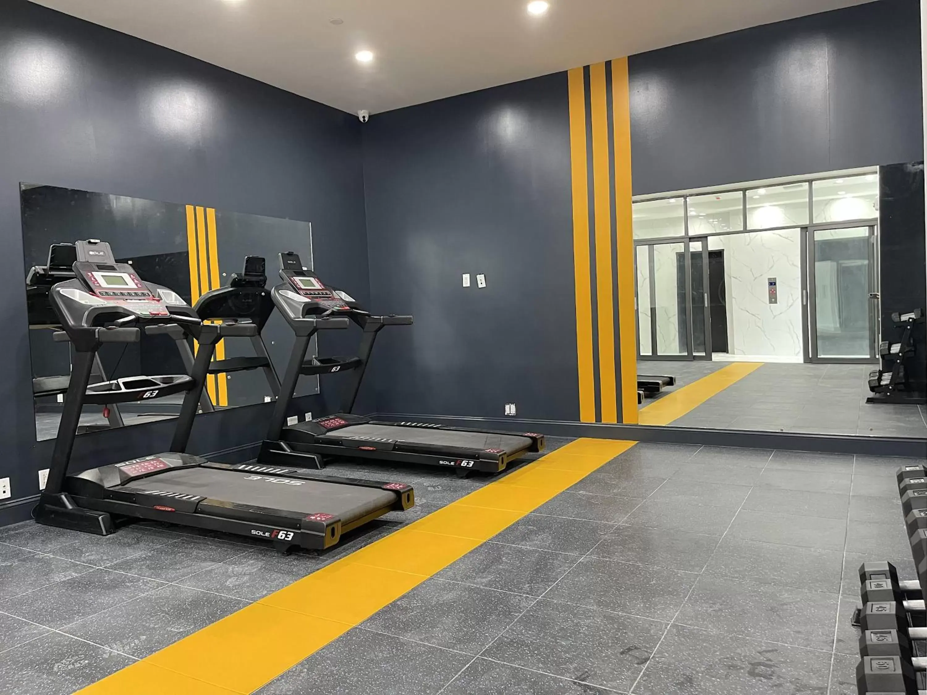 Fitness centre/facilities, Fitness Center/Facilities in Liberty View Brooklyn Hotel