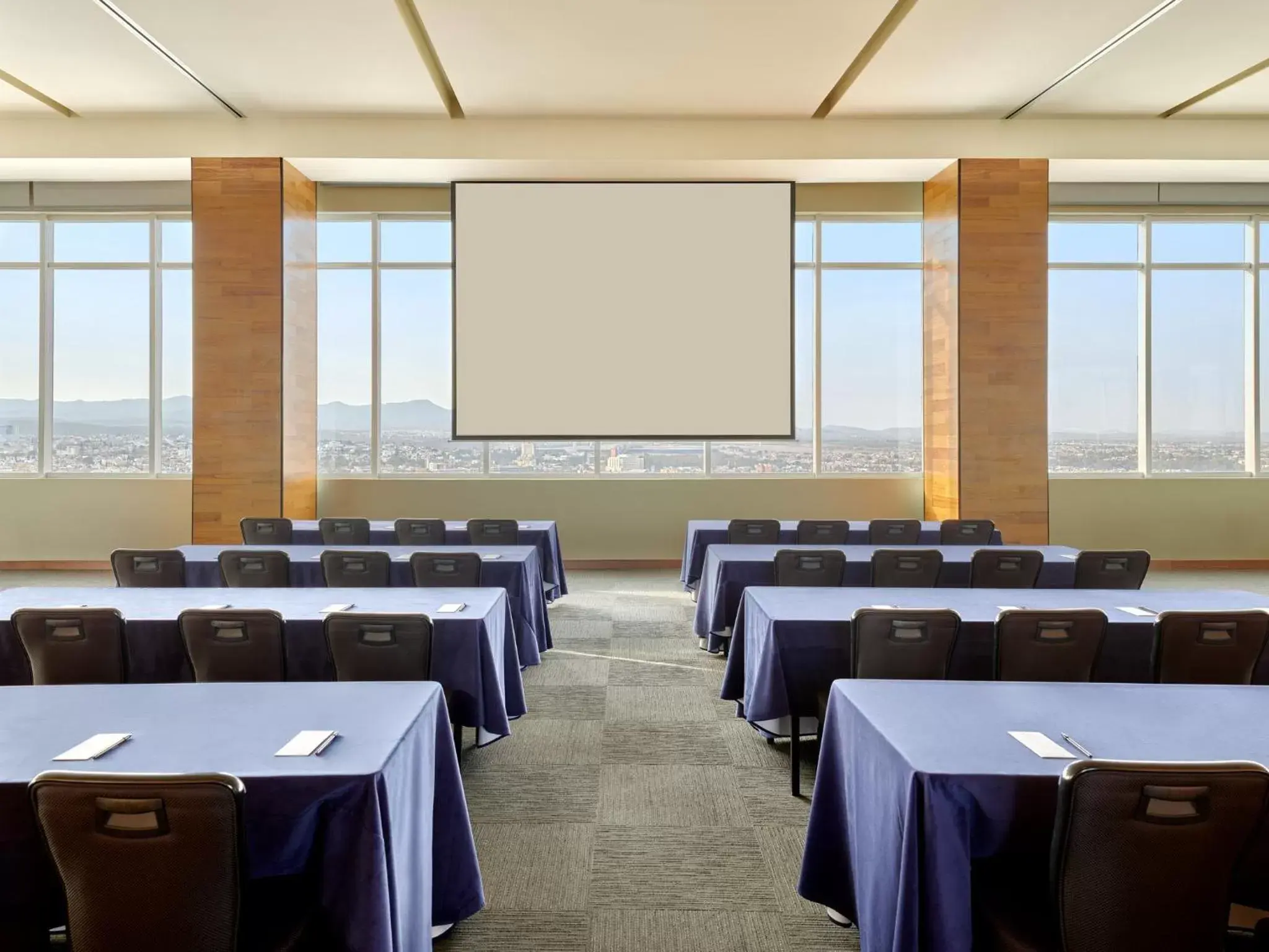 Meeting/conference room, Business Area/Conference Room in Fiesta Americana San Luis Potosi