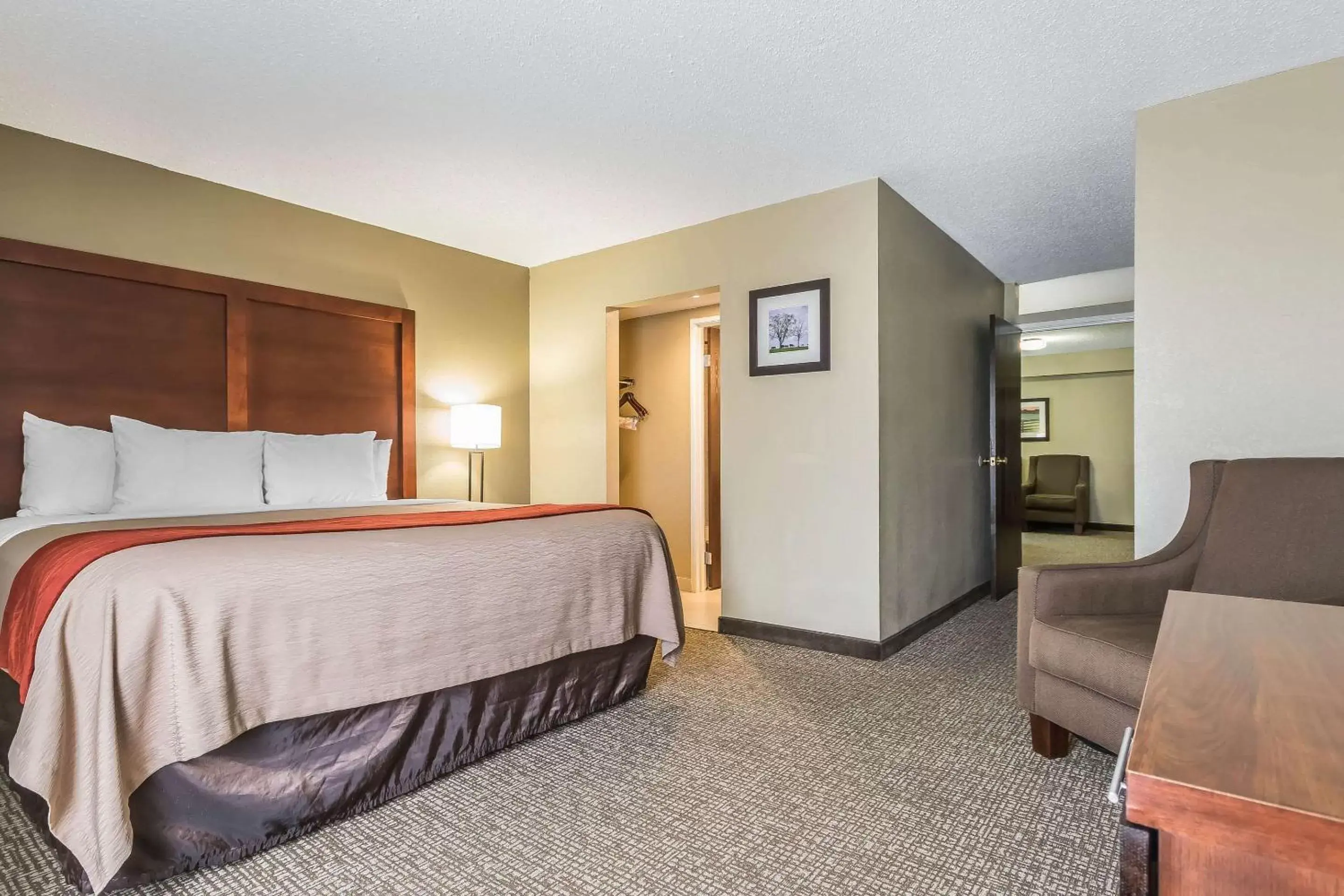 Photo of the whole room in Comfort Inn & Suites Lexington