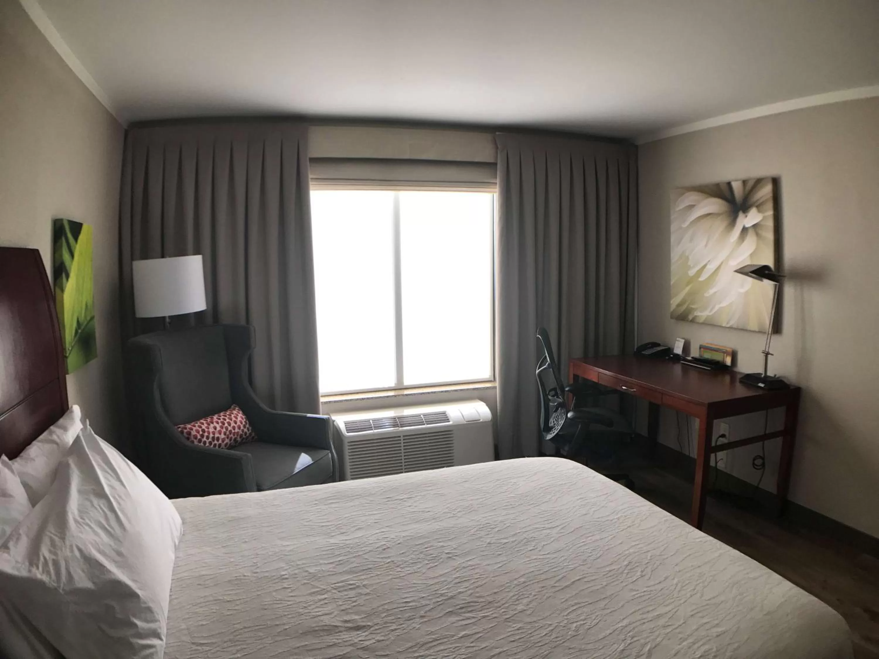 Bedroom, Bed in Hilton Garden Inn Bowling Green