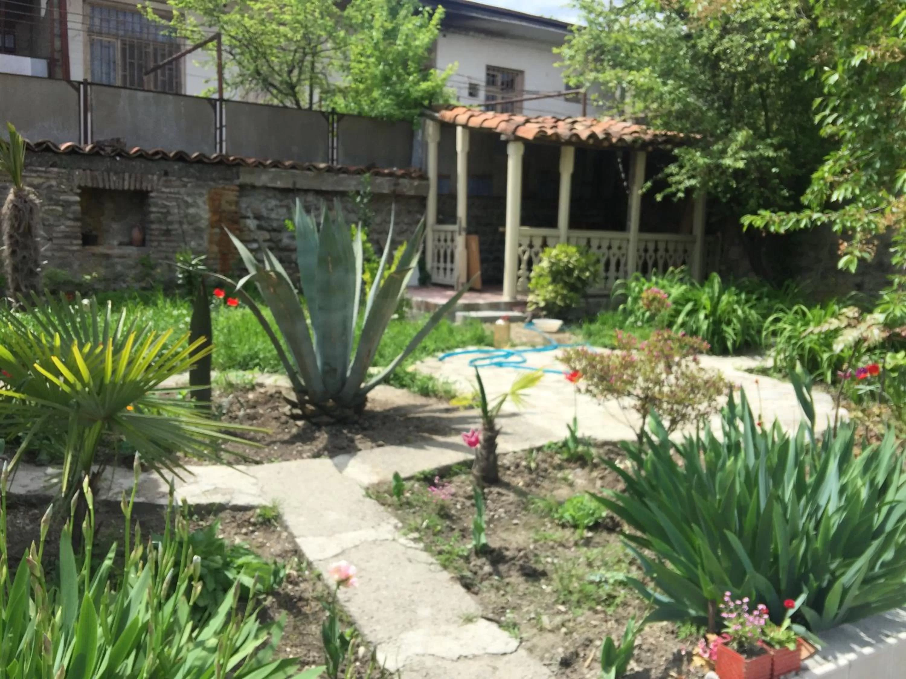 Swimming Pool in Nika's Guest House