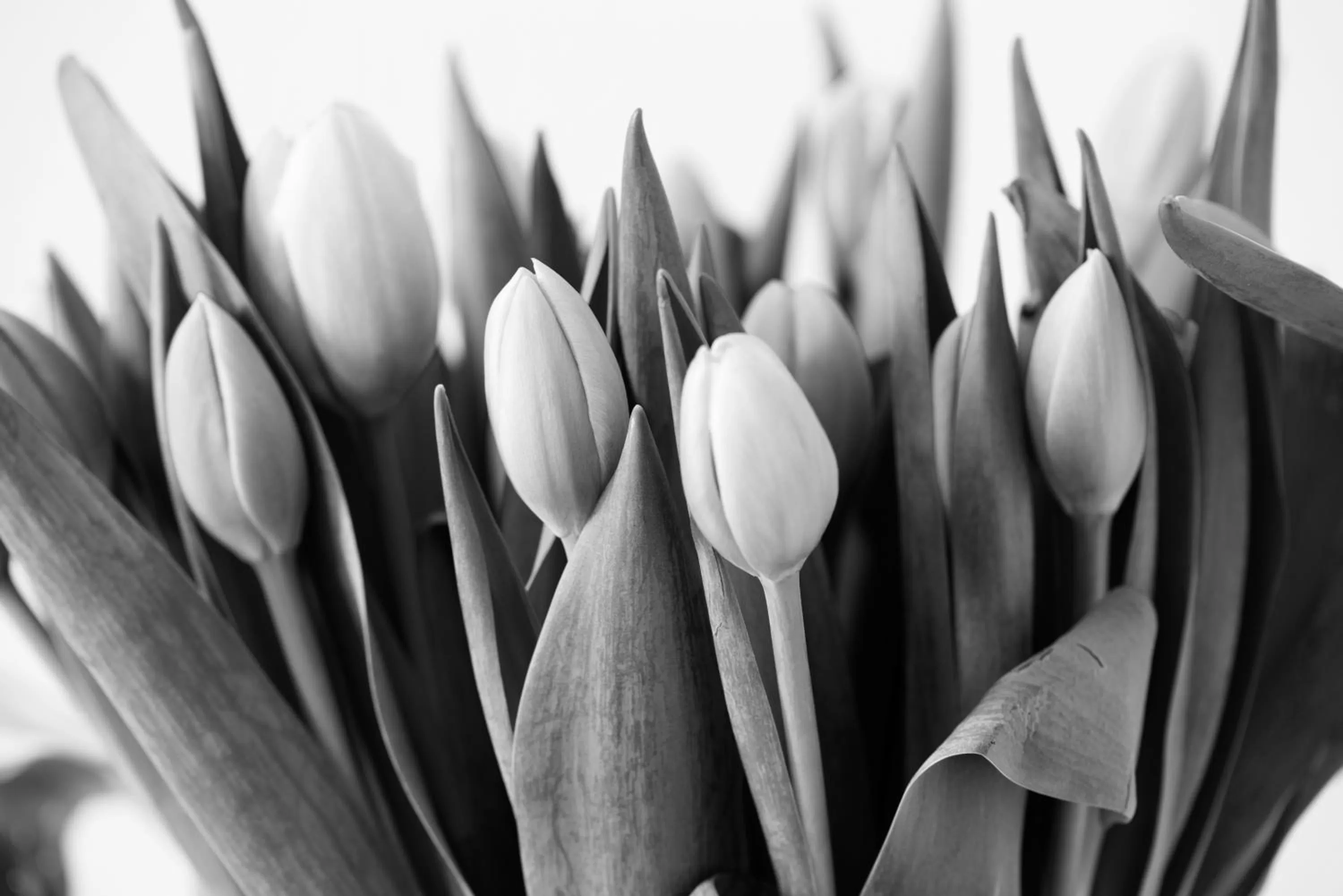 Other in Am Pavillon, Bed&Kitchen