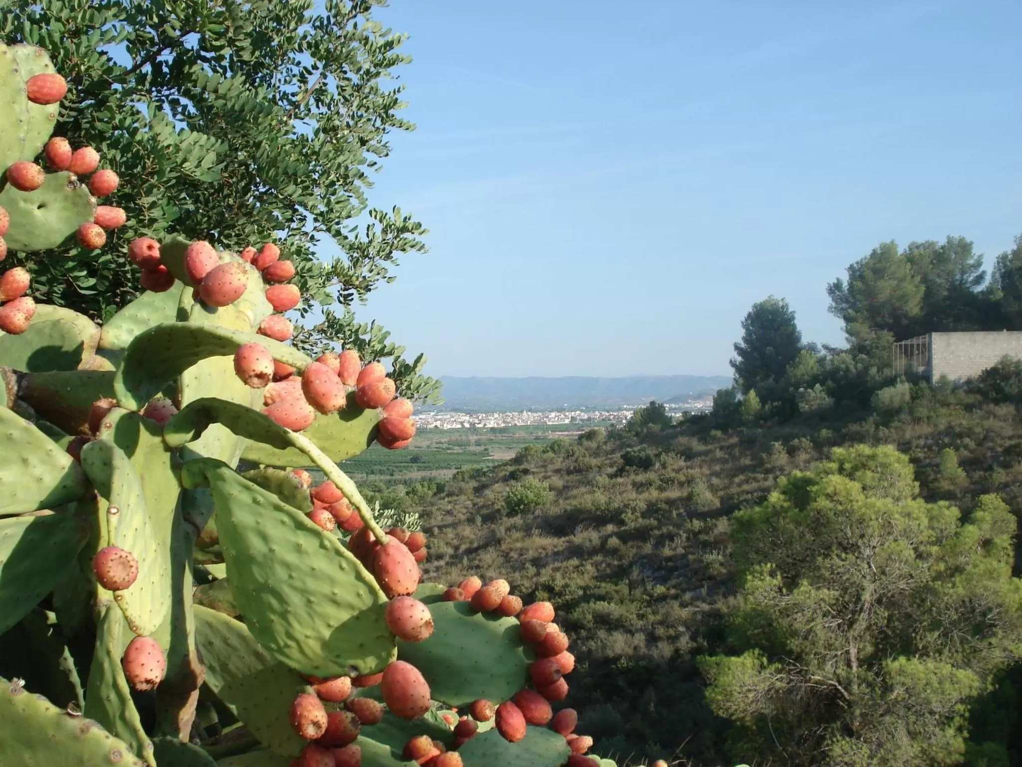 El Racó de la Pintora "Adults Only"