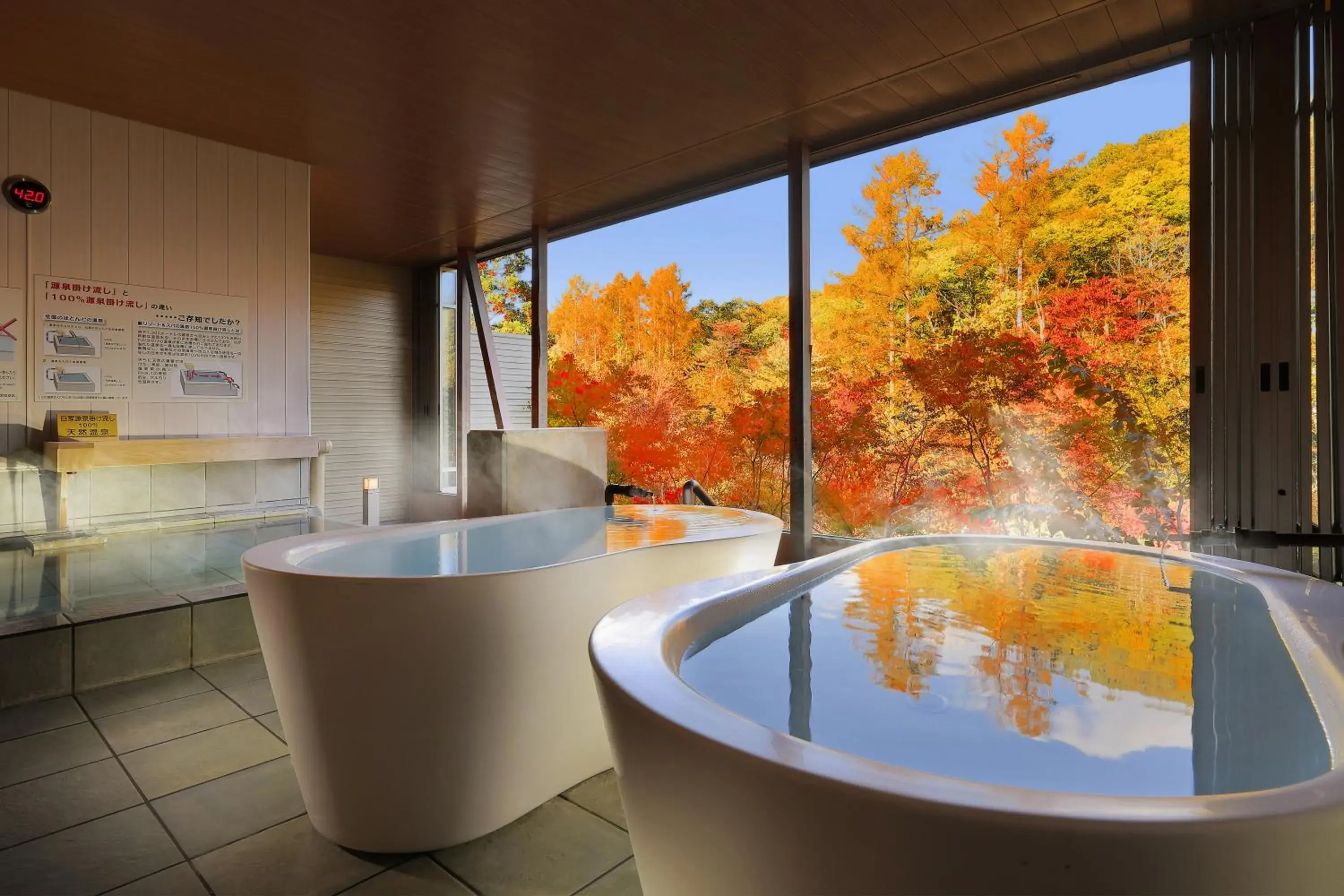 Hot Spring Bath, Bathroom in Hotel Ryu Resort and Spa