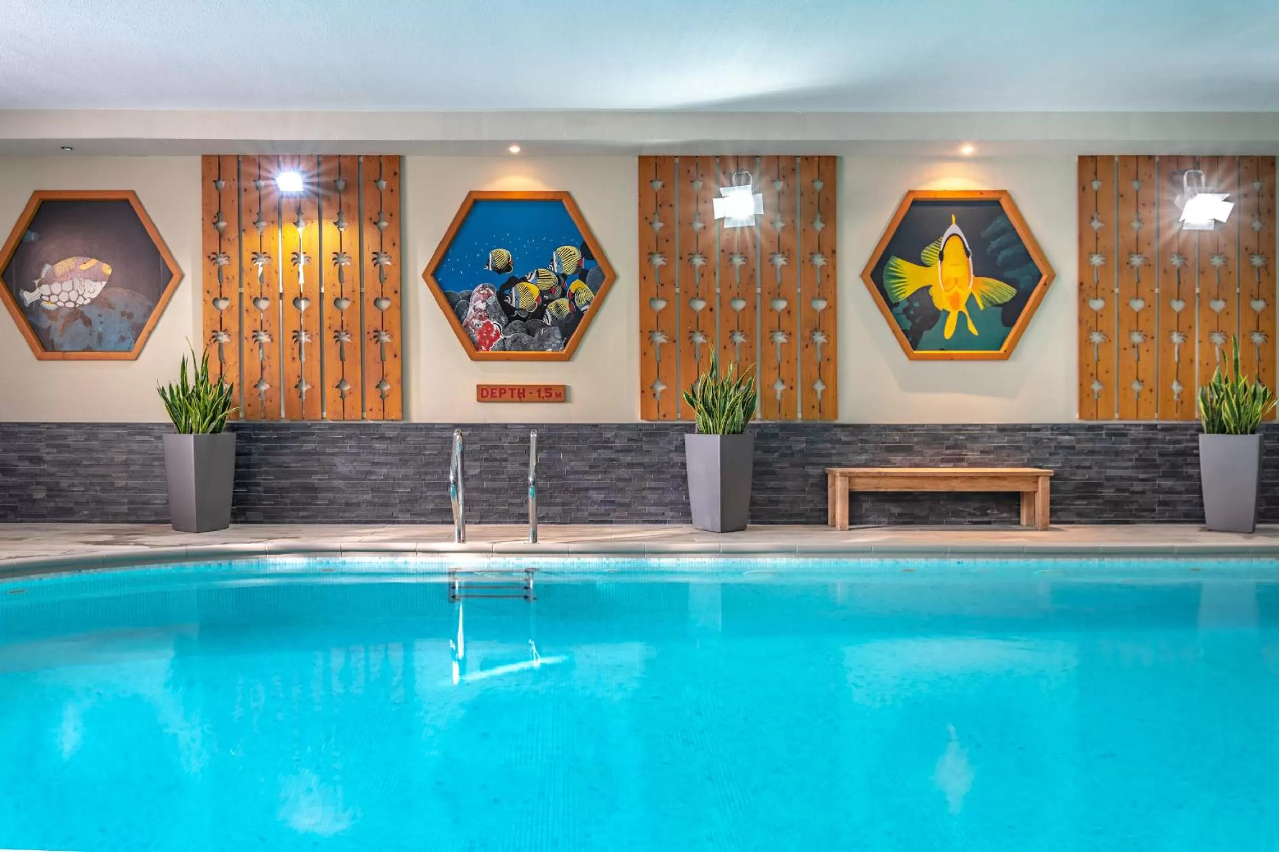 Activities, Swimming Pool in Hotel Les Arolles