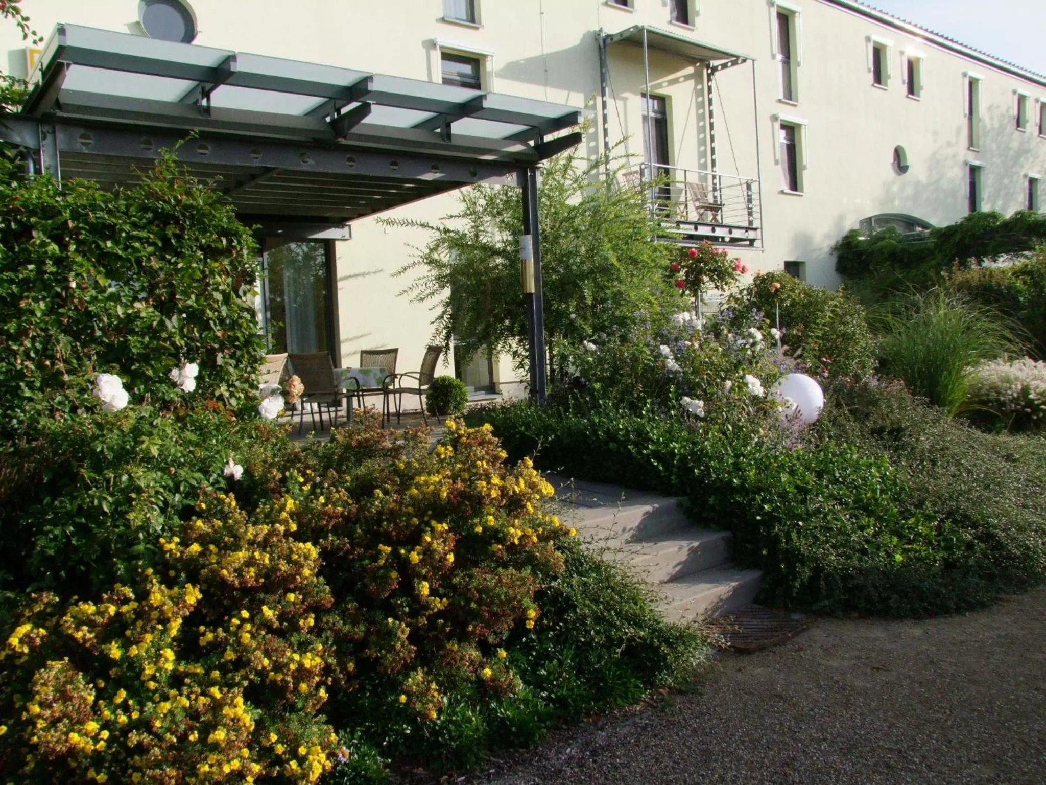 Restaurant/places to eat in Hotel Moritz an der Elbe