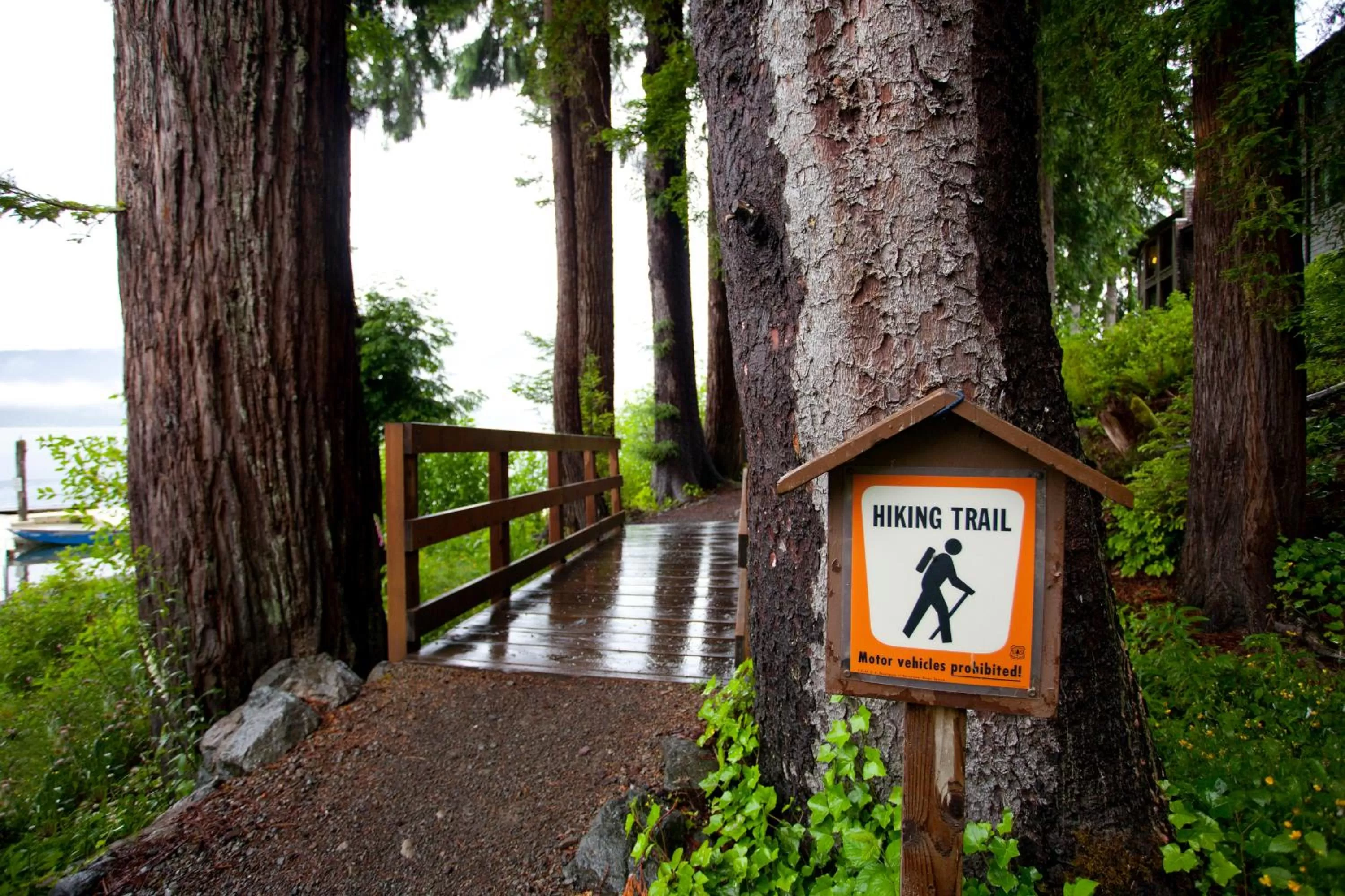 Hiking in Lake Quinault Lodge